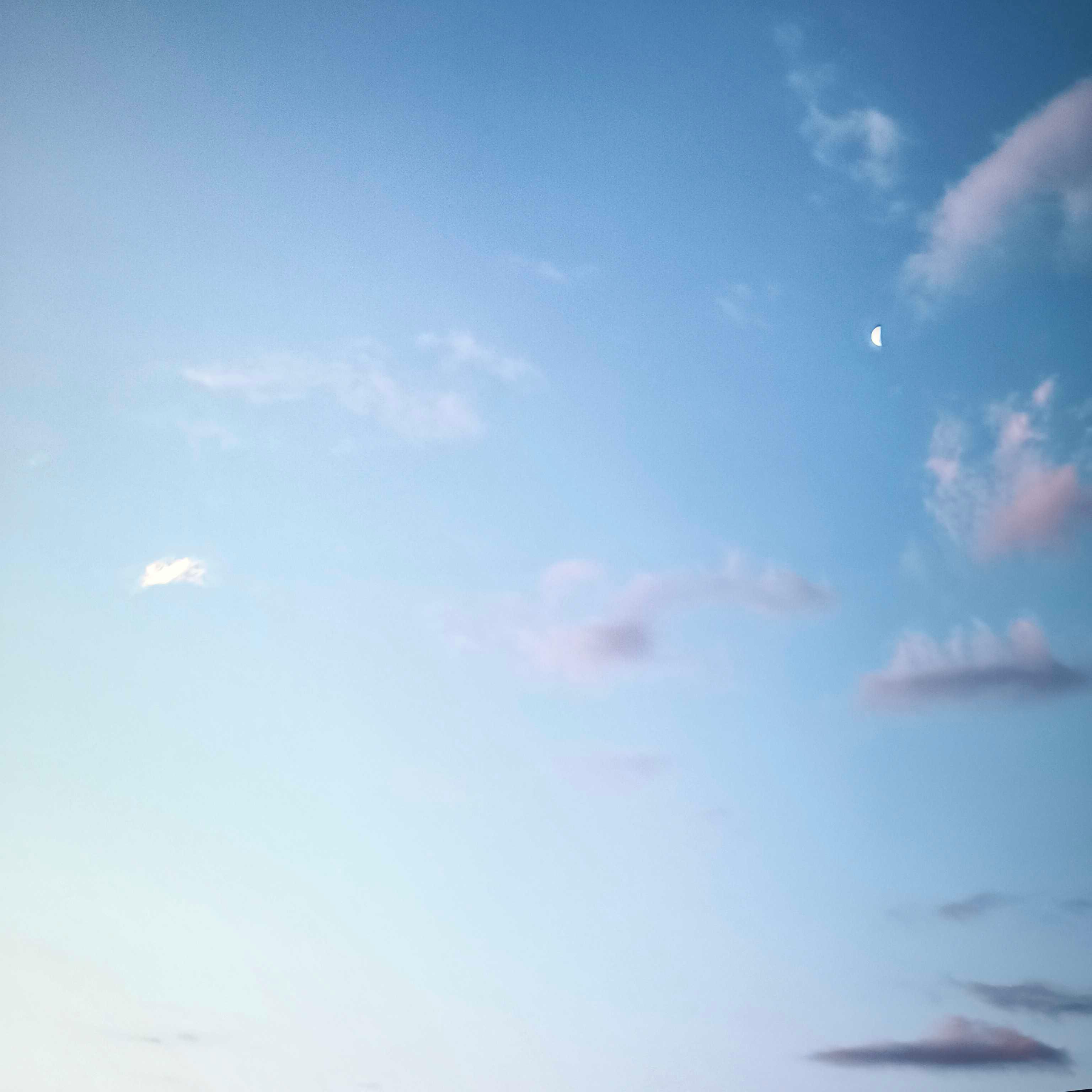 The Moon over Chanco, Chile — first quarter, Lunar Day 8