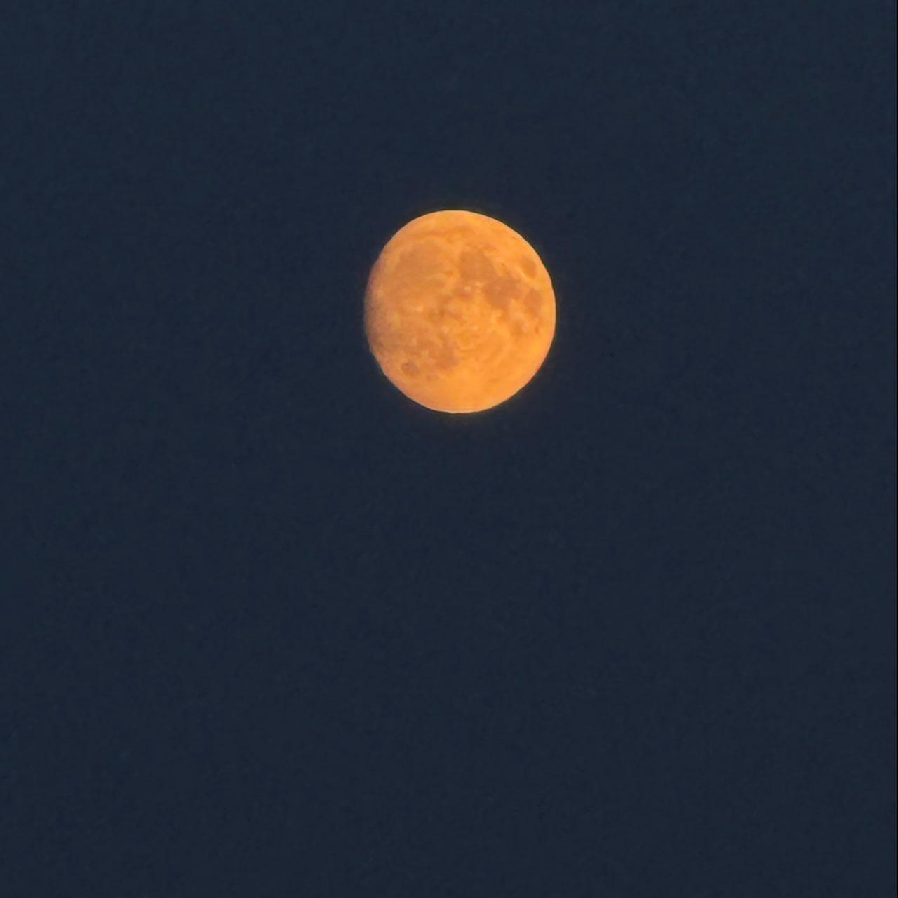 The Moon over Kluisbergen, België — waxing gibbous, Lunar Day 14