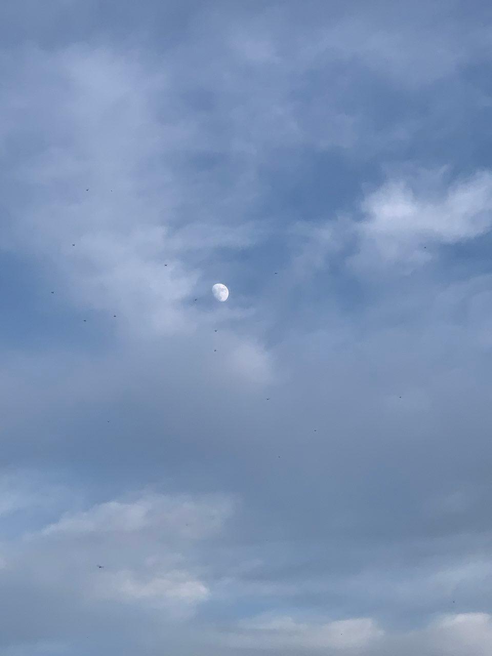 The Moon over Nuevo Vallarta, México — waxing gibbous, Lunar Day 12