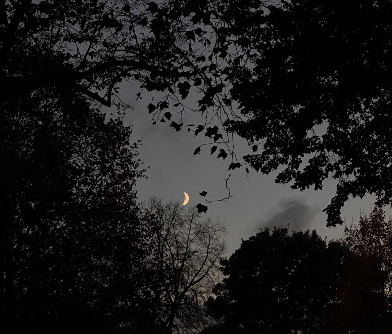 The Moon over Köln, Deutschland — waxing crescent, Lunar Day 7