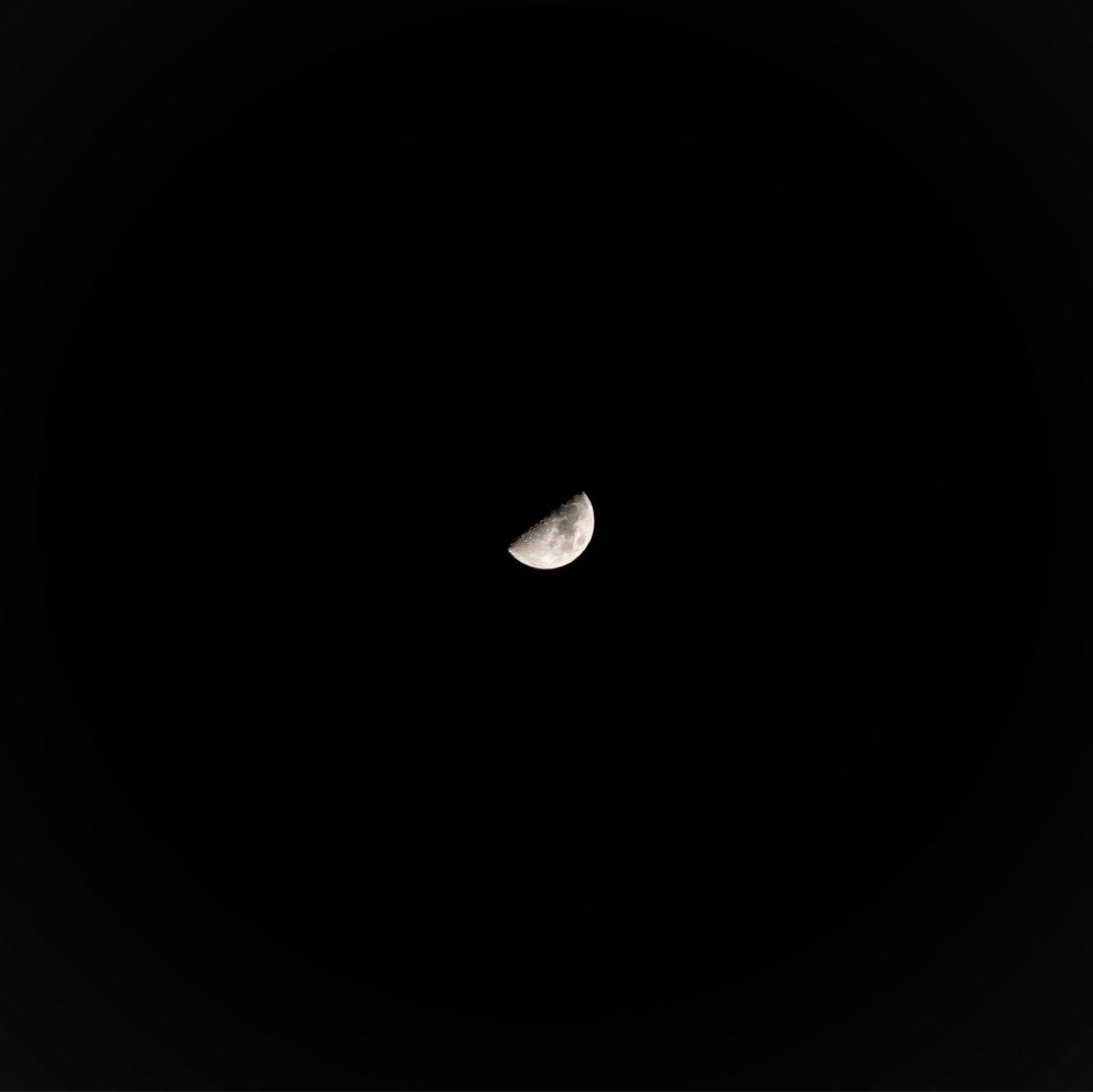 The Moon over Oakville, Canada — first quarter, Lunar Day 8