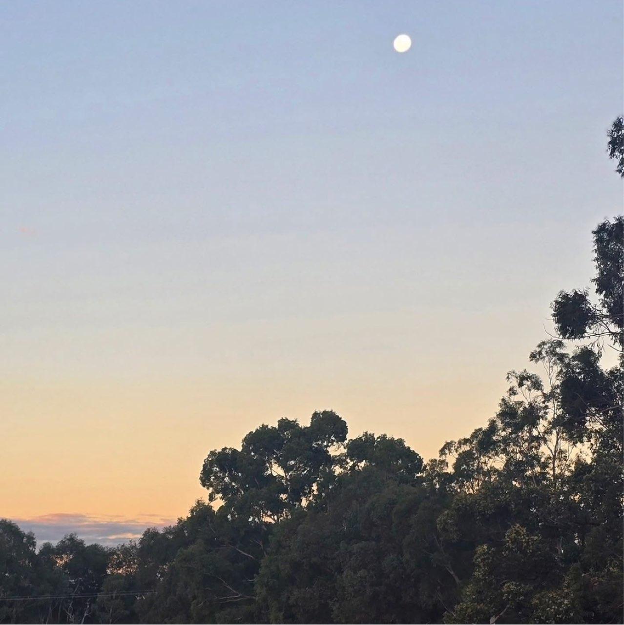 The Moon over West Perth, Australia — full moon, Lunar Day 14