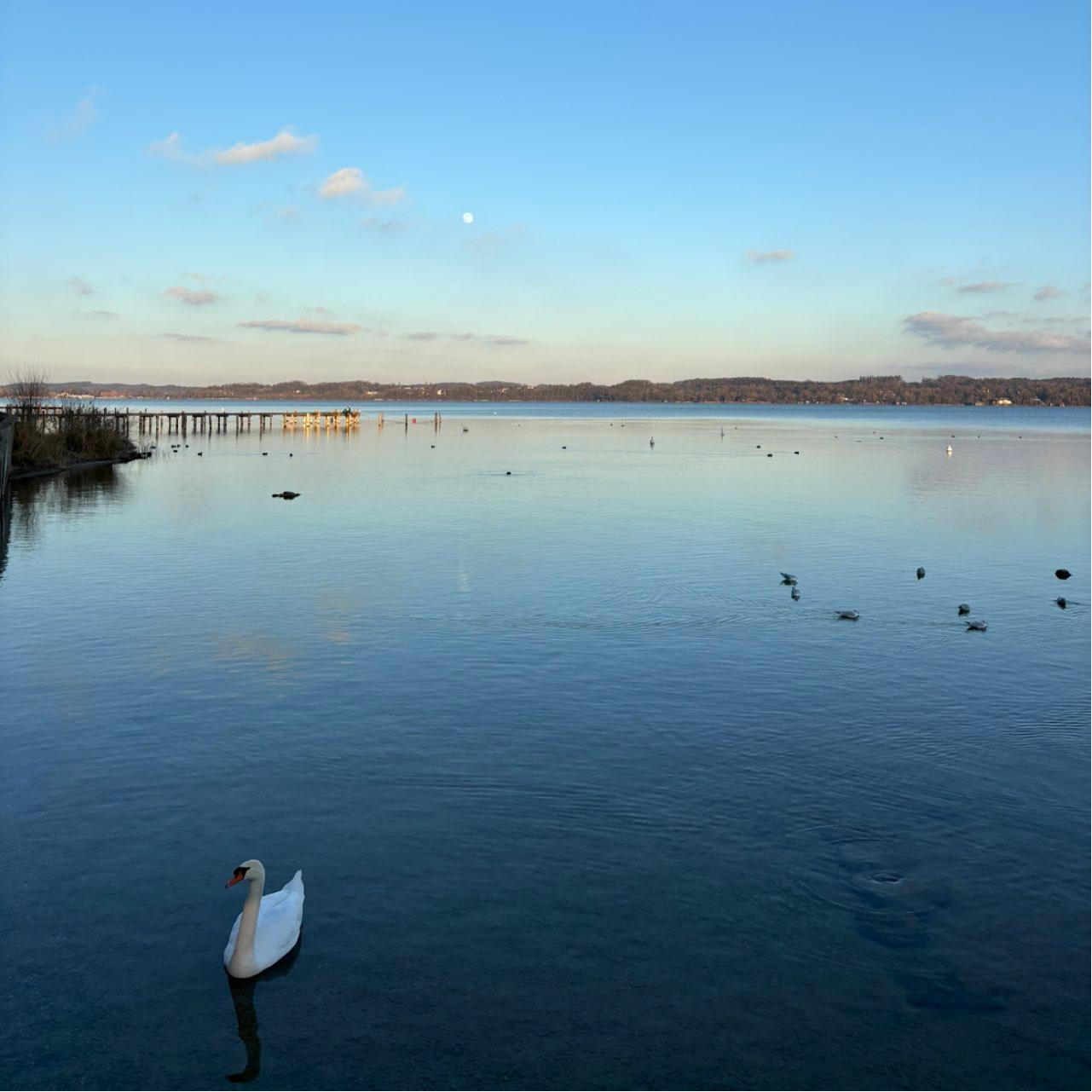 The Moon over Schondorf am Ammersee, Deutschland — full moon, Lunar Day 14