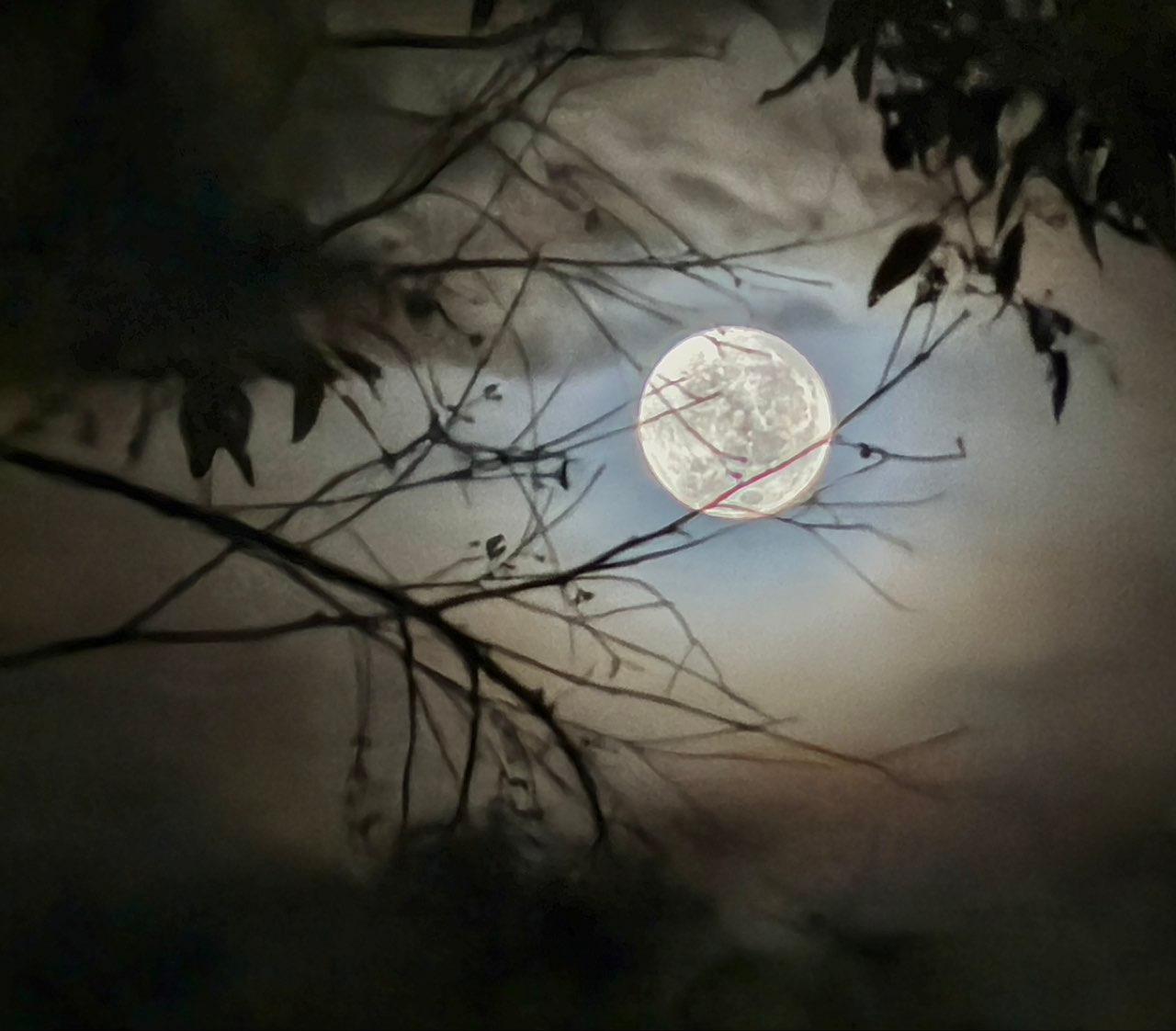 The Moon over Mitchelton, Australia — full moon, Lunar Day 14
