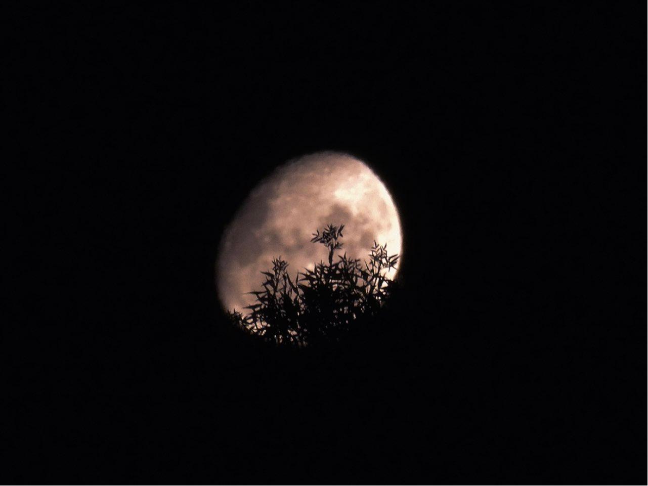 The Moon over Adelaide, Australia — waning gibbous, Lunar Day 20