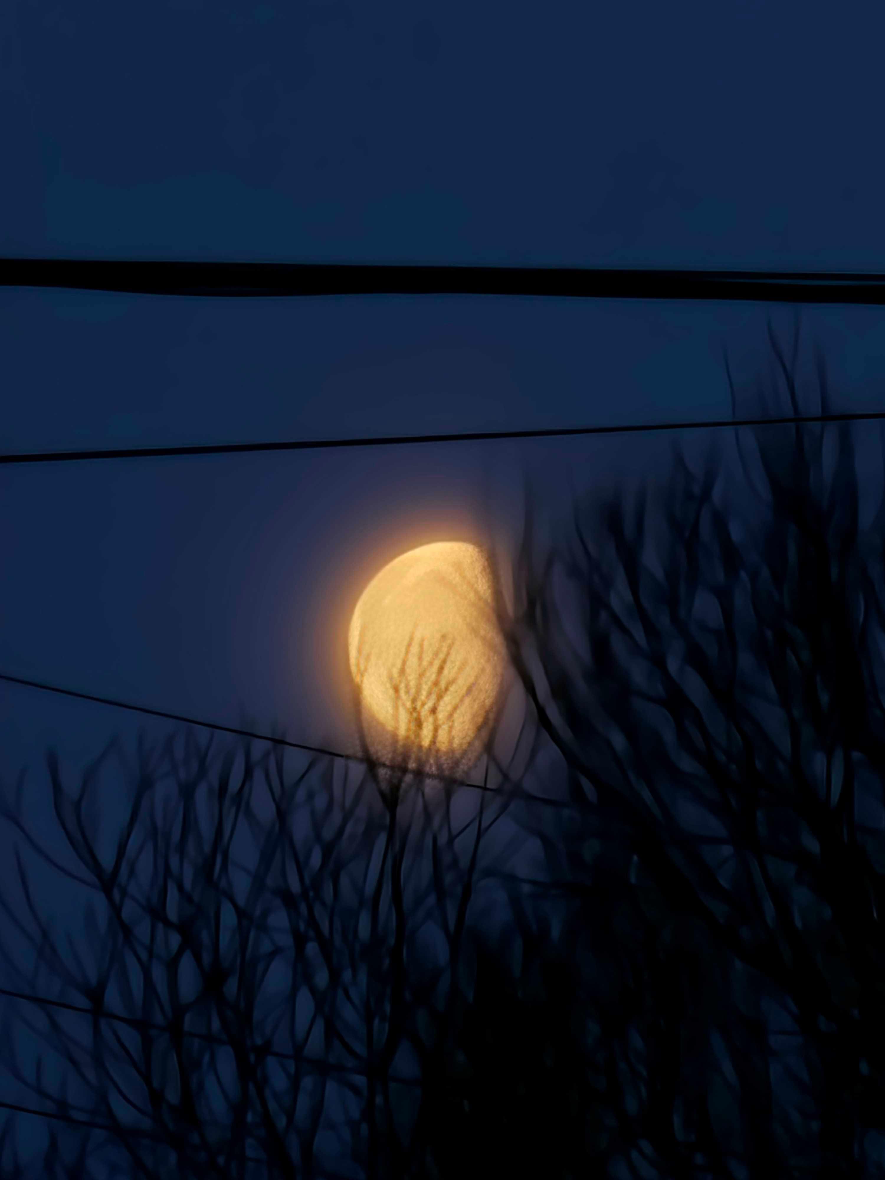 The Moon over Edmonton, Canada — waning gibbous, Lunar Day 20