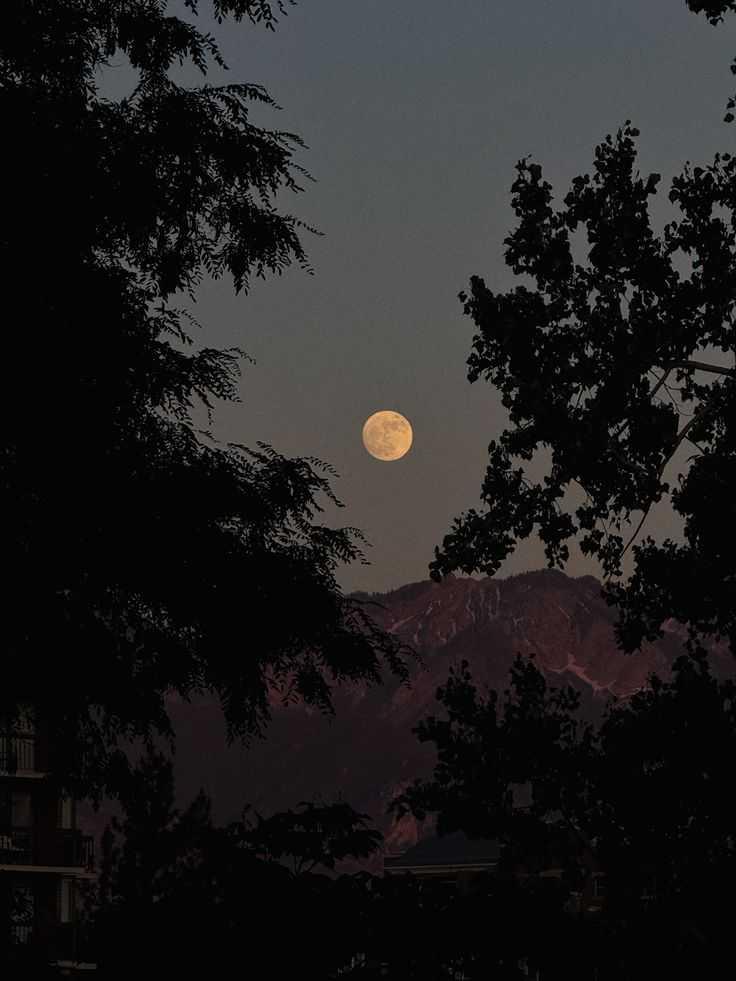 The Moon over București, Romania — last quarter, Lunar Day 24
