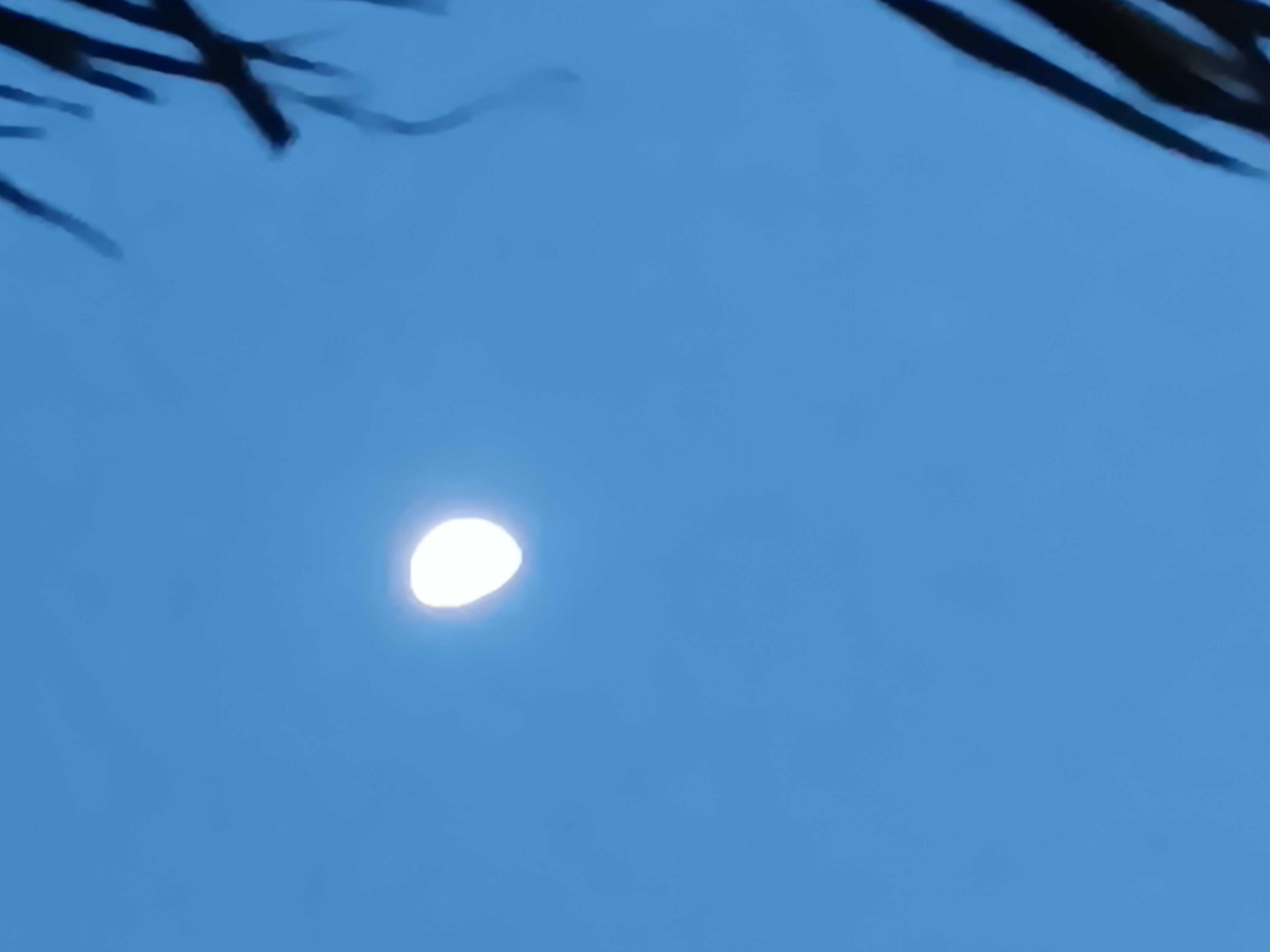 The Moon over Nollamara, Australia — waning gibbous, Lunar Day 20