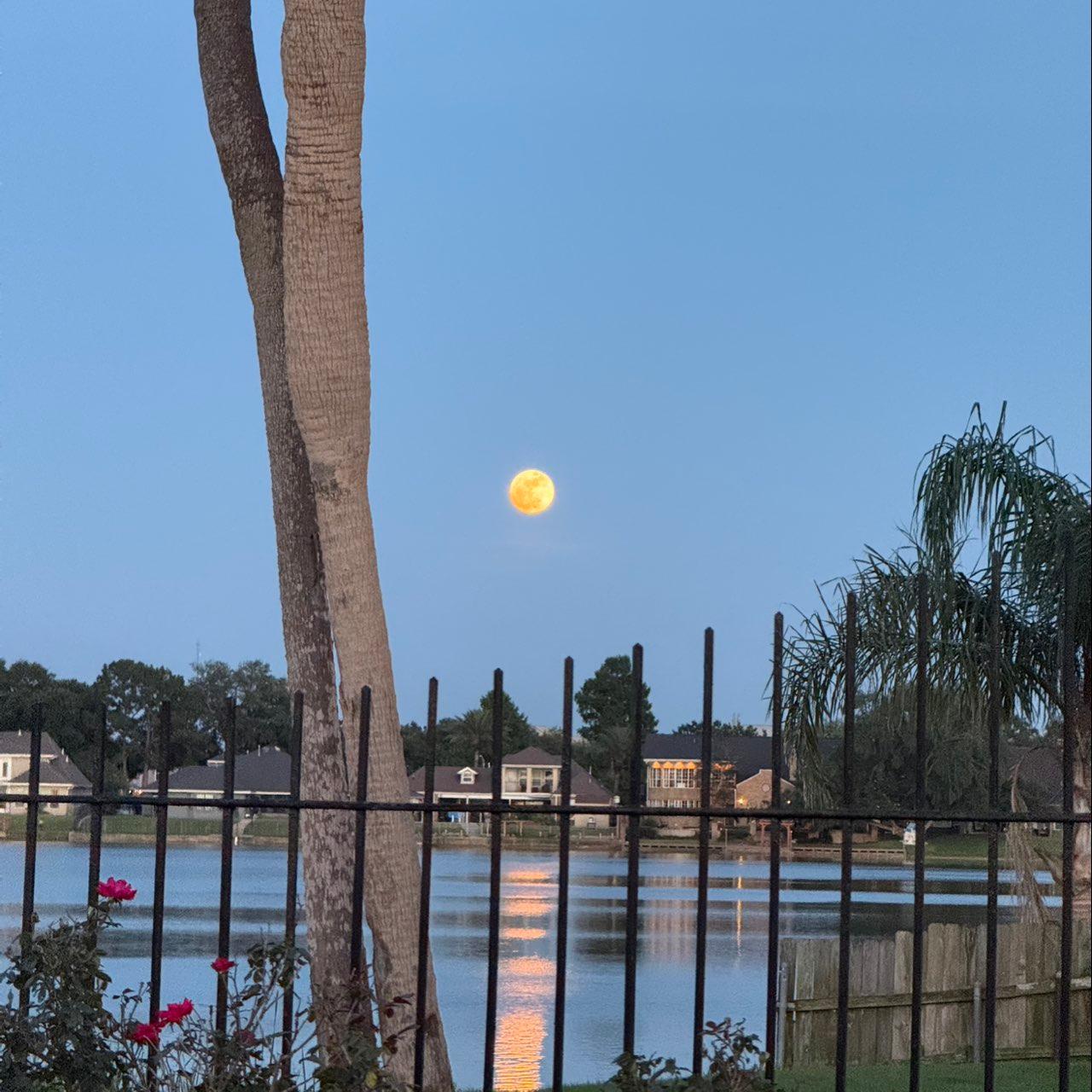 The Moon over New Orleans, United States — full moon, Lunar Day 15