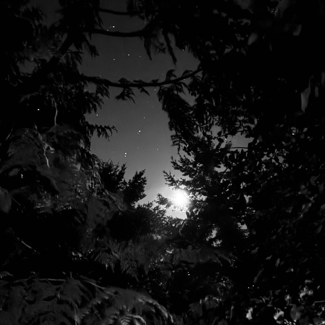 The Moon over Tofino, Canada — waxing gibbous, Lunar Day 11