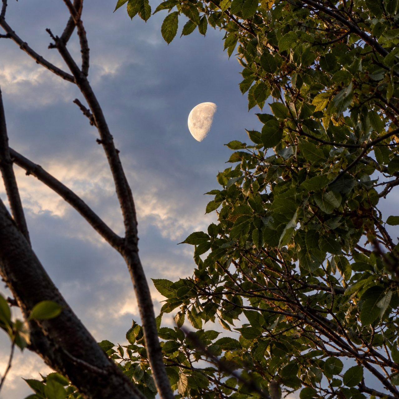 The Moon over Colorado Springs, United States — last quarter, Lunar Day 22