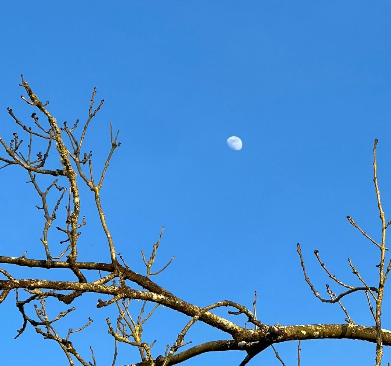 The Moon over Mohill, Ireland — waxing gibbous, Lunar Day 11
