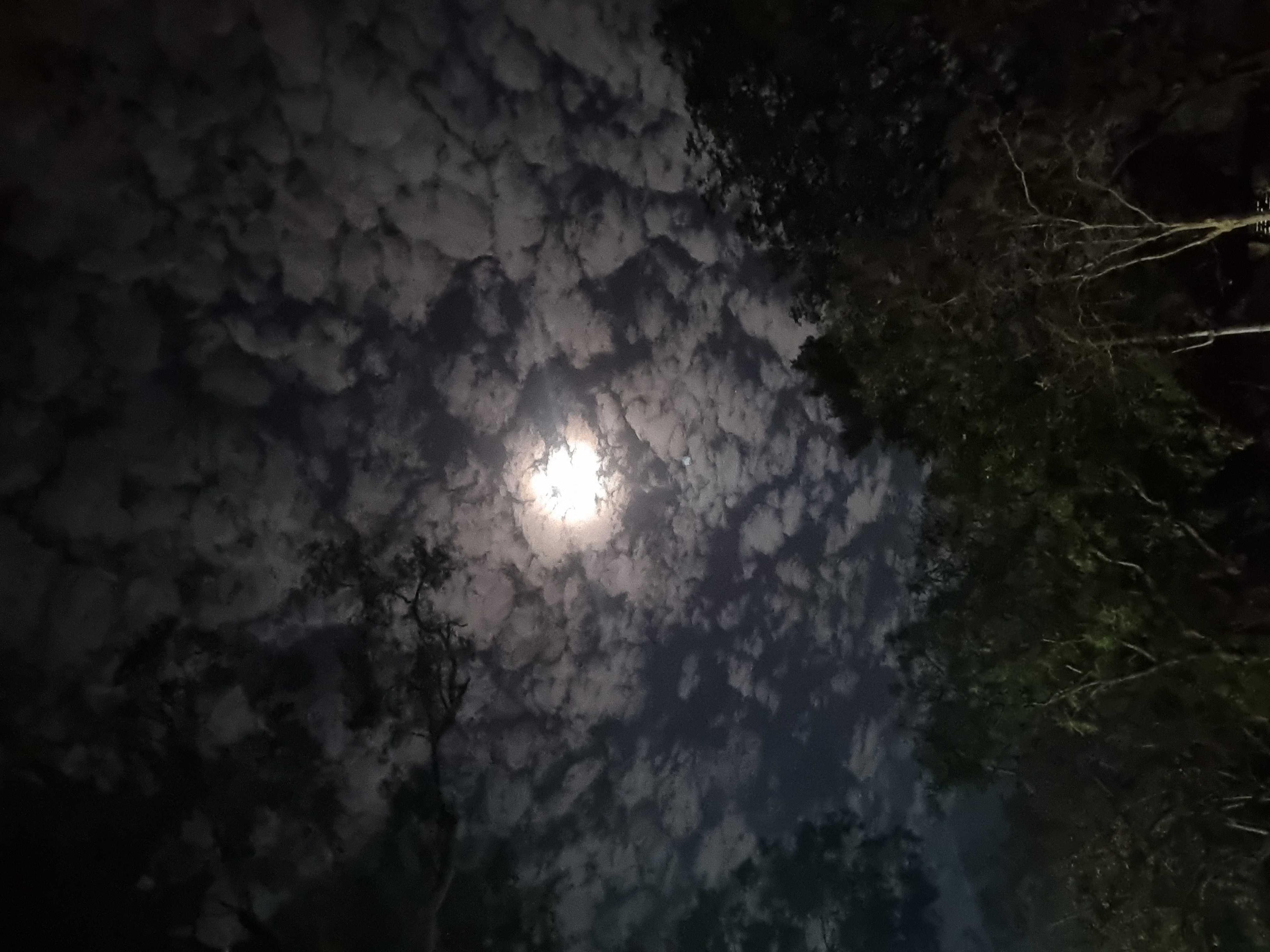The Moon over Annandale, Australia — full moon, Lunar Day 16
