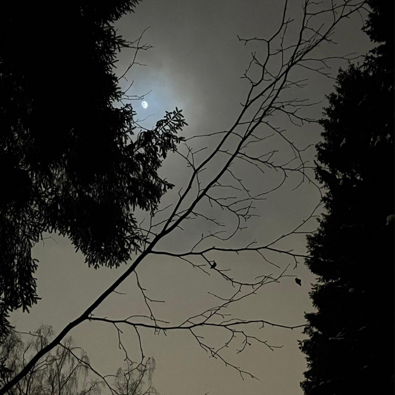 The Moon over Moscow, Russia — waxing gibbous, Lunar Day 12