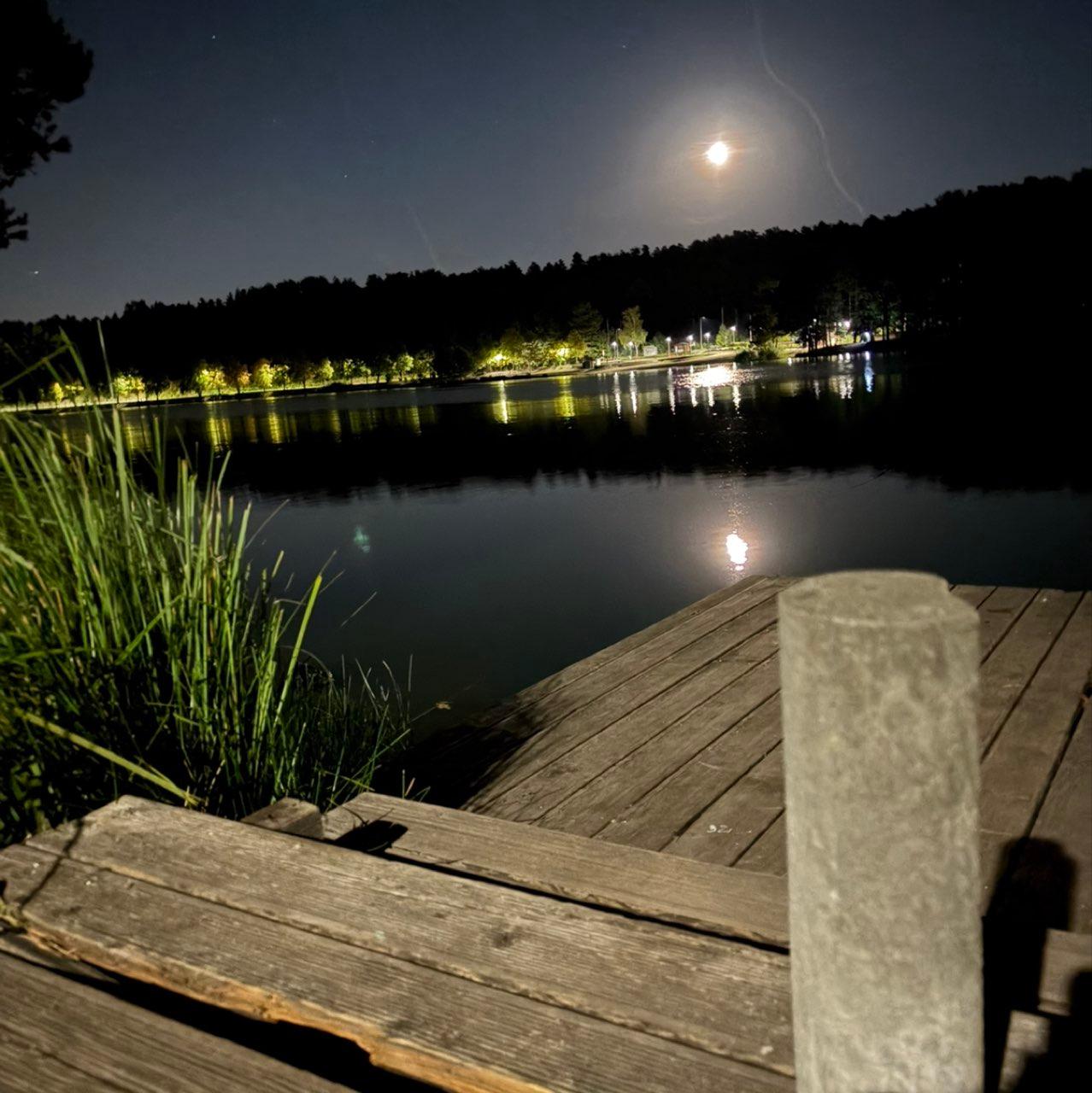 The Moon over Skarżysko-Kamienna, Polska — waning gibbous, Lunar Day 21