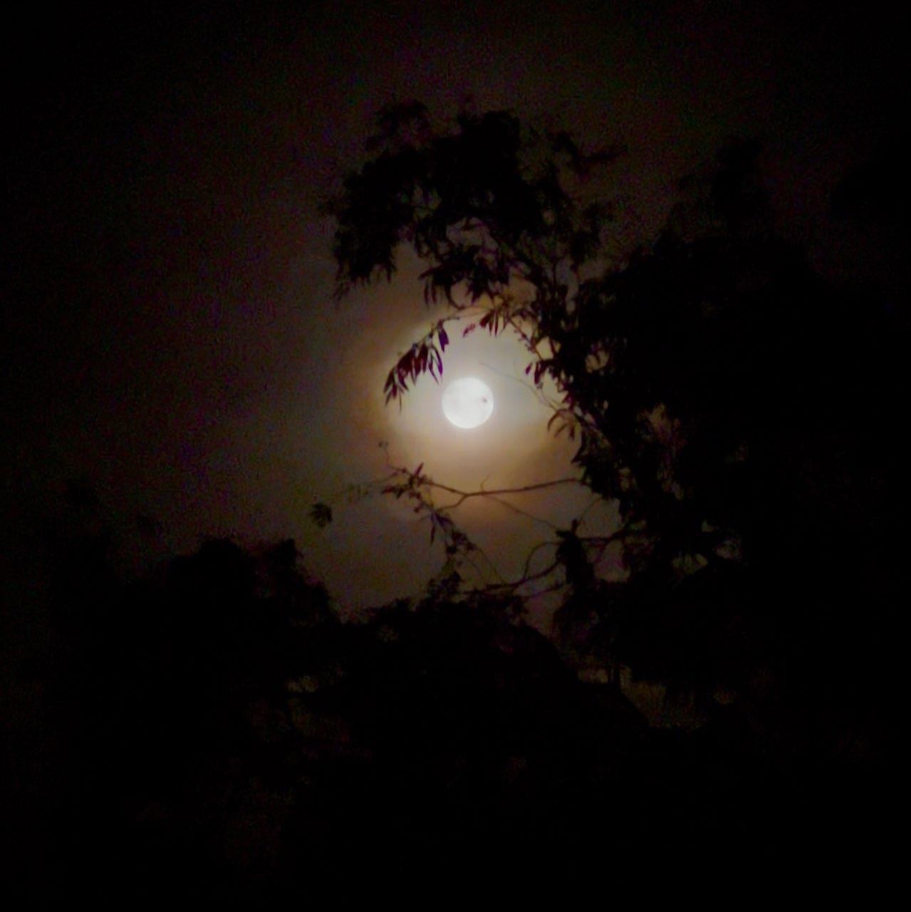 The Moon over Blackmans Bay, Australia — full moon, Lunar Day 16