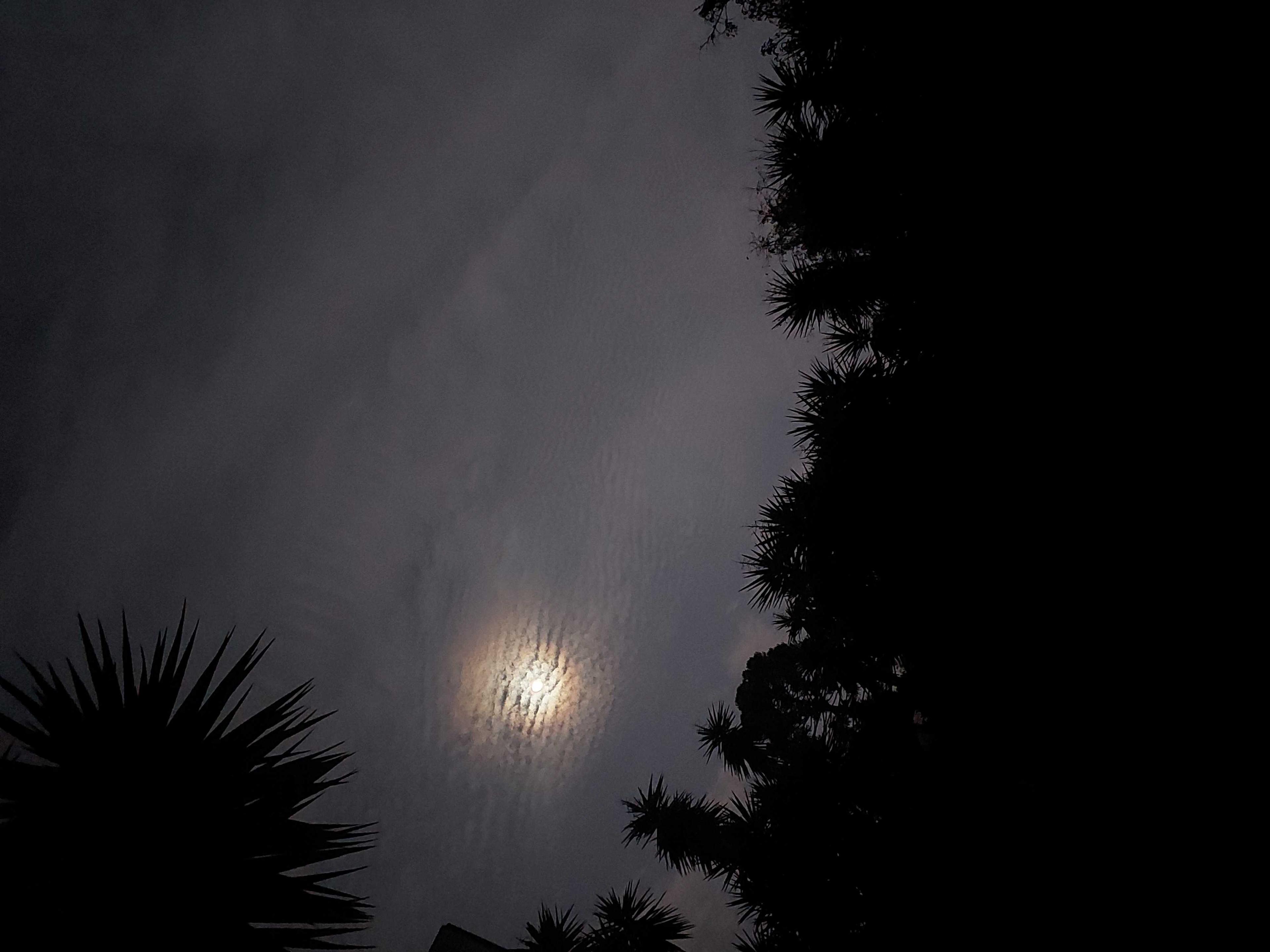 The Moon over Brazil — waning gibbous, Lunar Day 20
