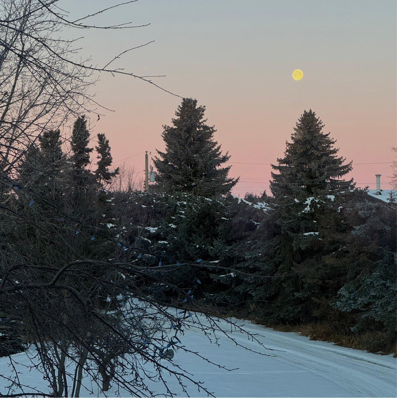 The Moon over Strathcona County, Canada — waning gibbous, Lunar Day 19