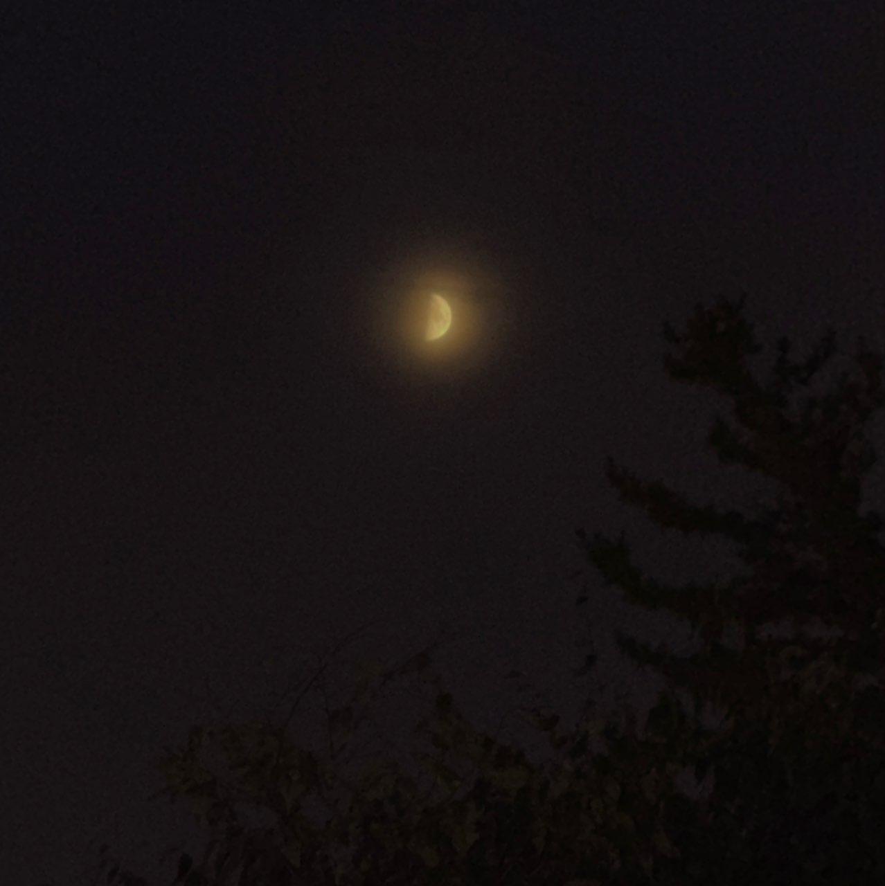 The Moon over 乌尔班纳, 美国 — first quarter, Lunar Day 9