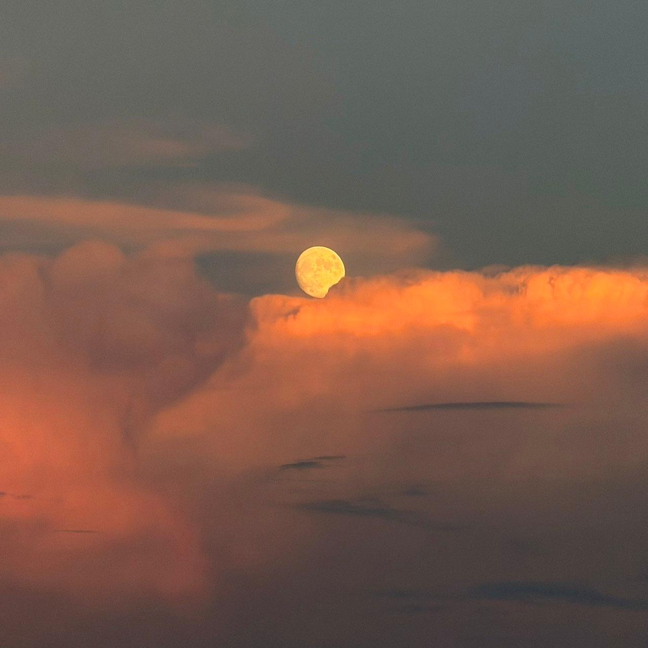 The Moon over Wiesendangen, Schweiz — waxing gibbous, Lunar Day 14