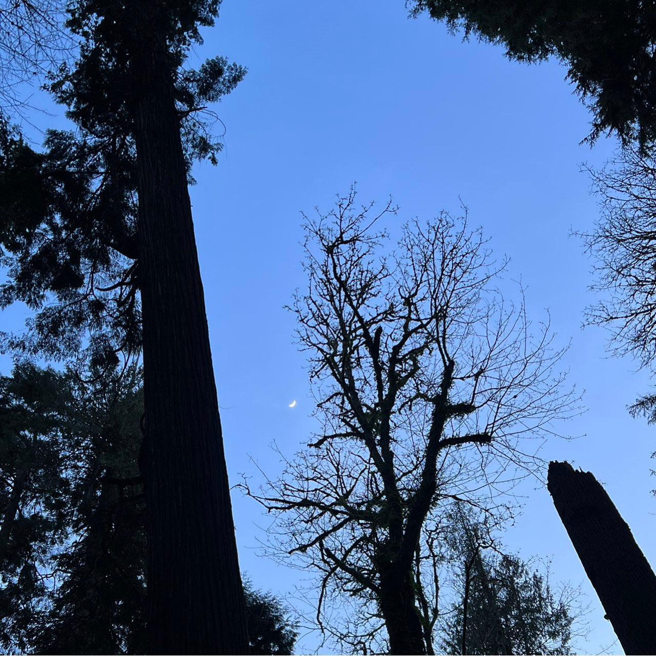 The Moon over Greater Vancouver, Canada — waxing crescent, Lunar Day 6