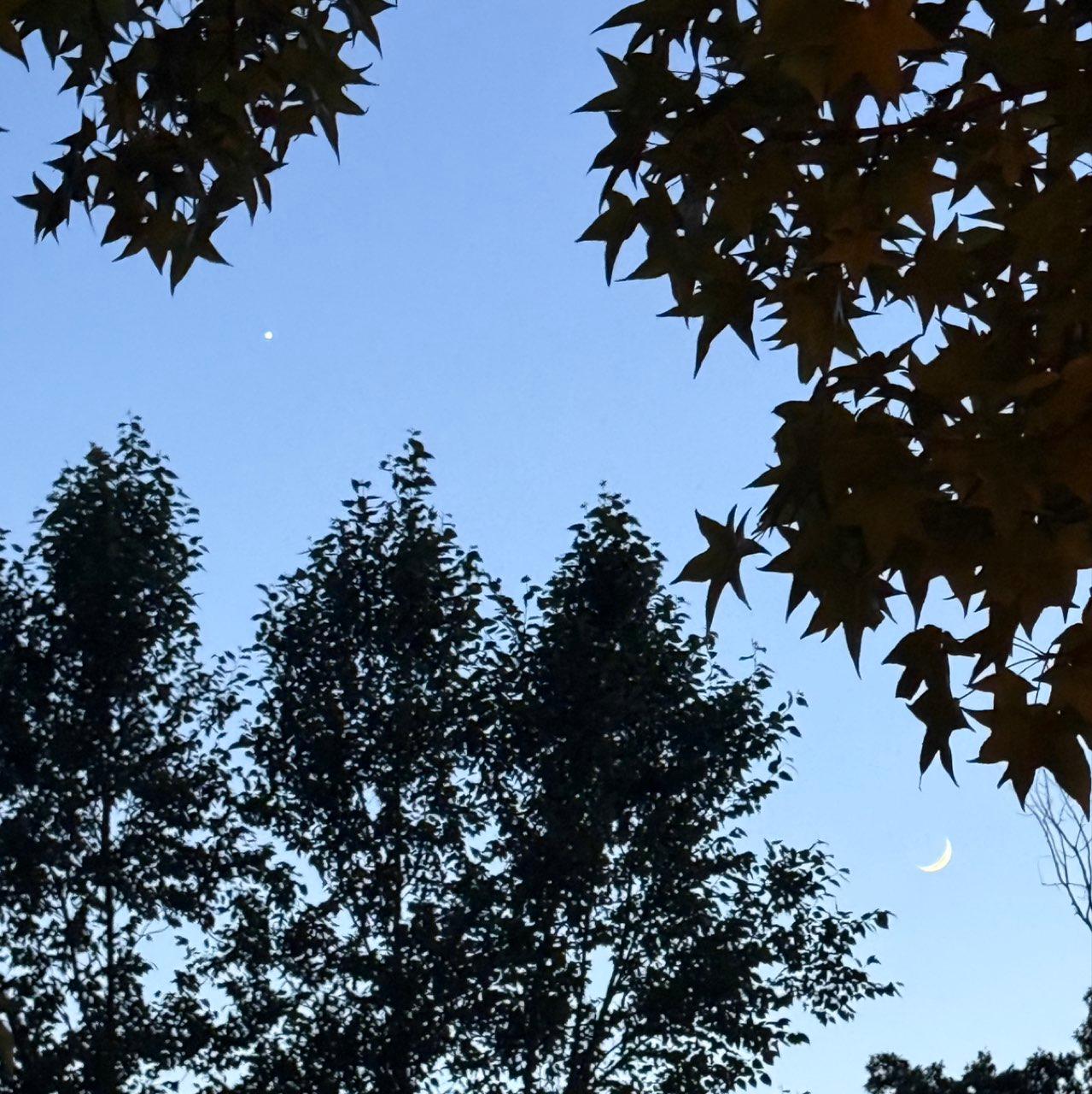 The Moon over Webster Groves, United States — waxing crescent, Lunar Day 3