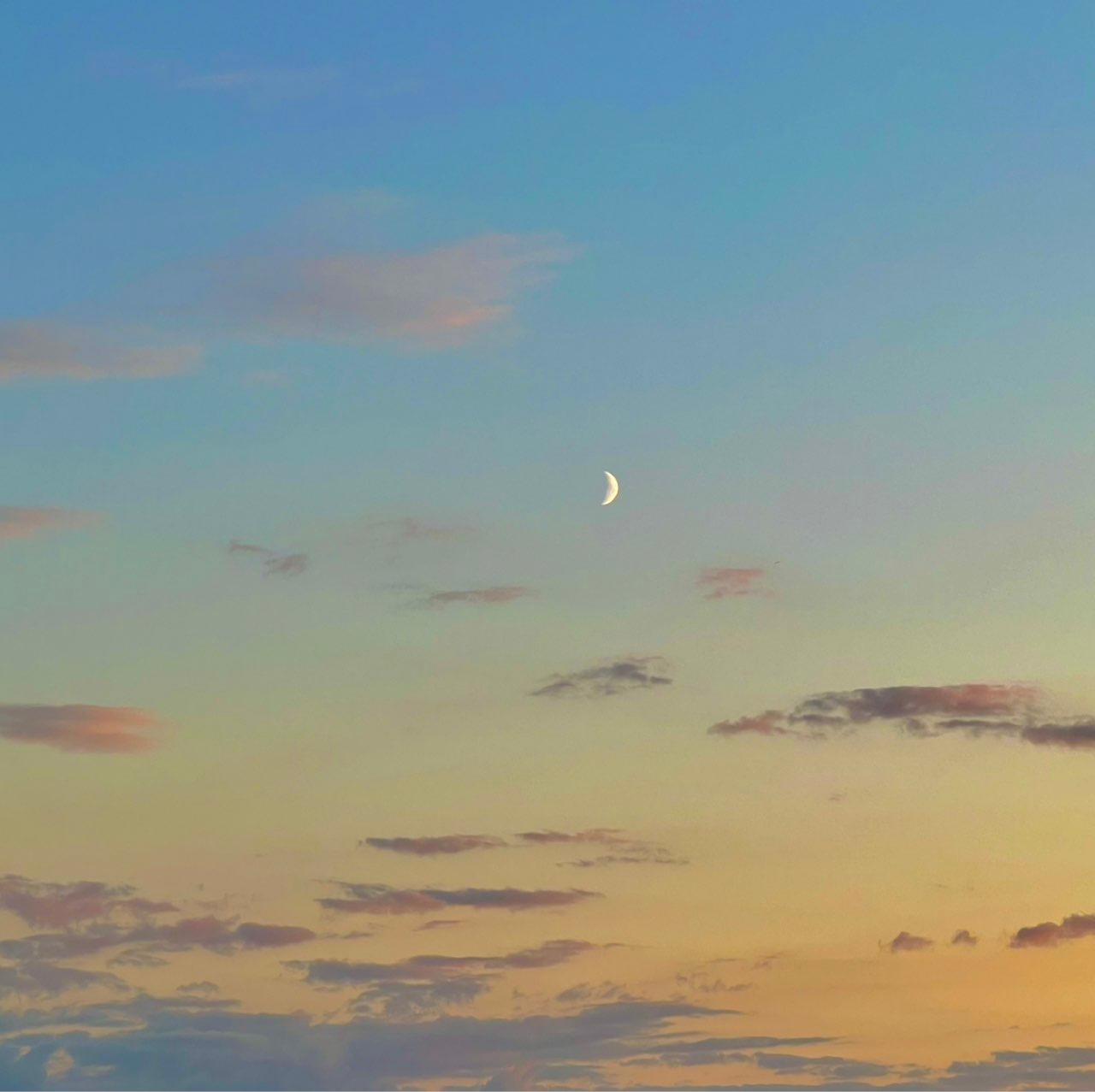 The Moon over Жодино, Belarus — first quarter, Lunar Day 7