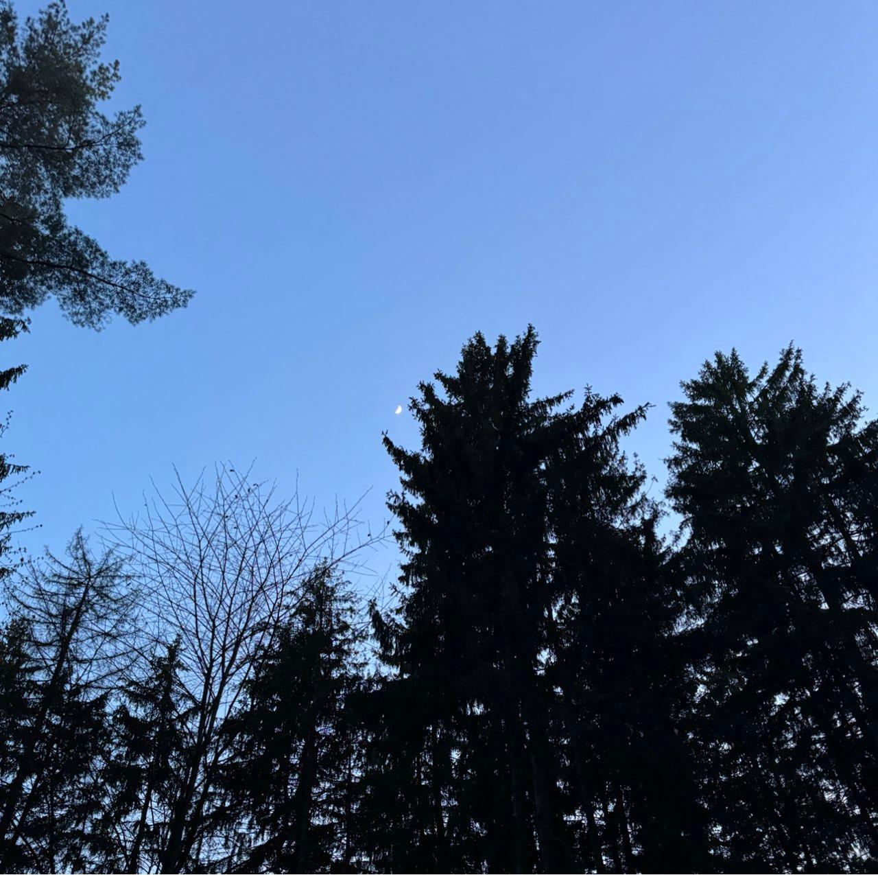 The Moon over Minsk, Belarus — first quarter, Lunar Day 7