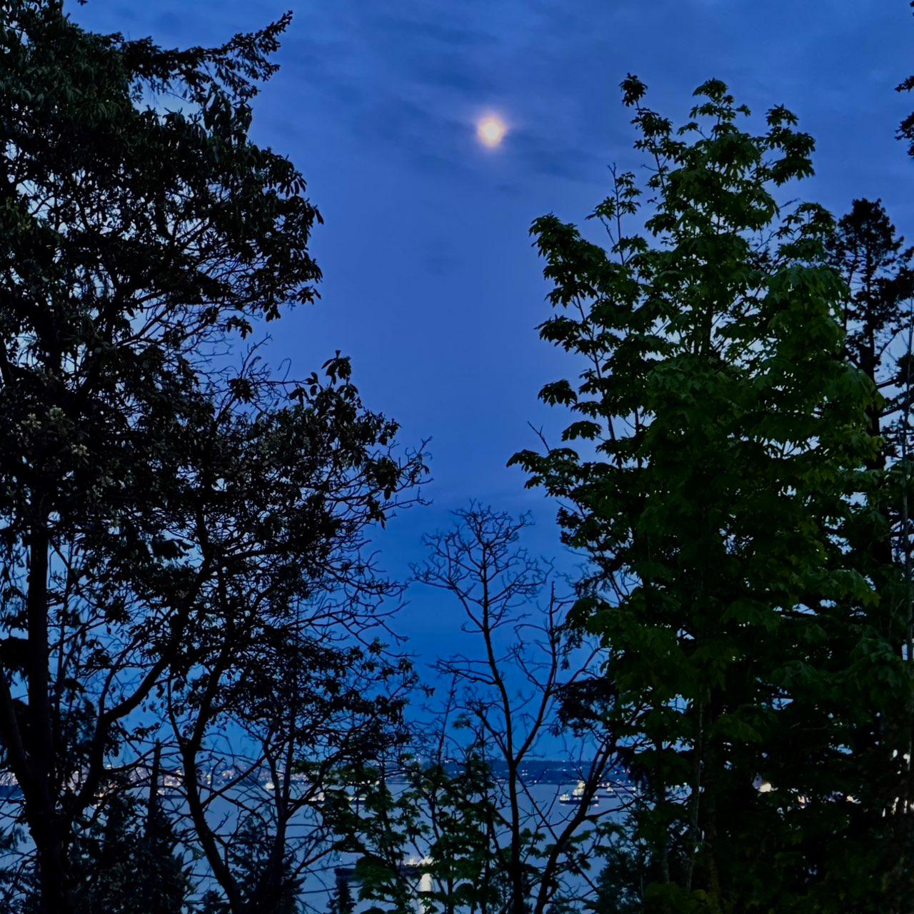 The Moon over Vancouver, Canada — waxing gibbous, Lunar Day 13