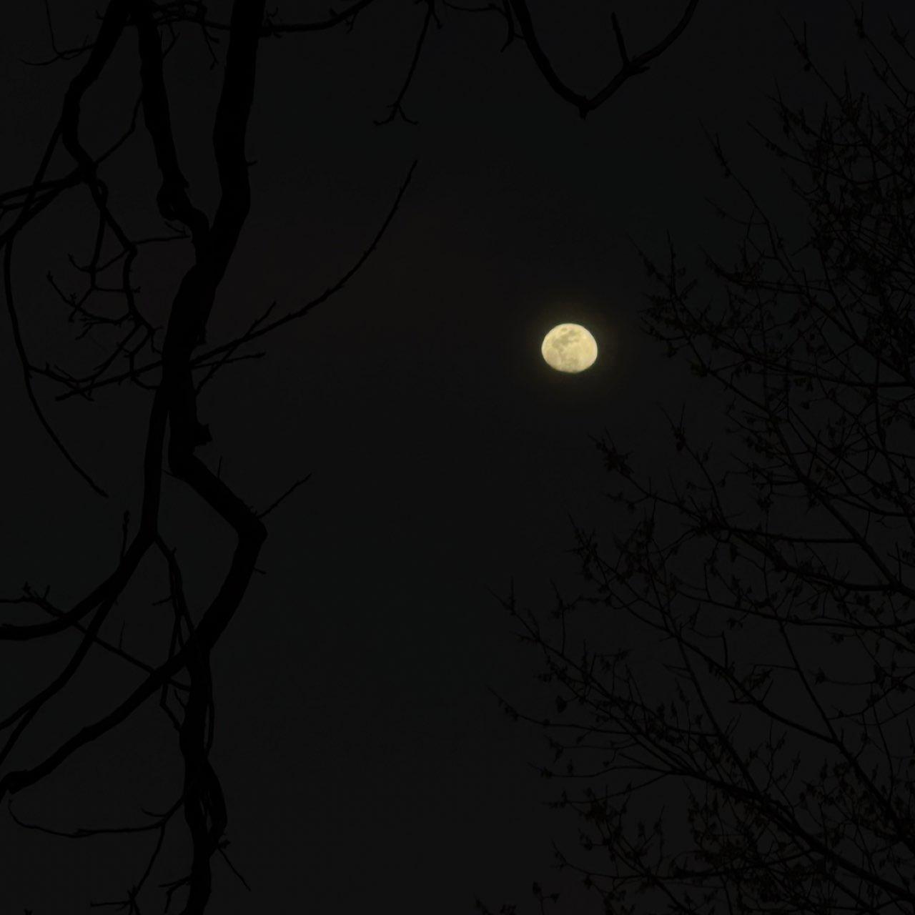 The Moon over Farmers Branch, Estados Unidos — waxing gibbous, Lunar Day 12