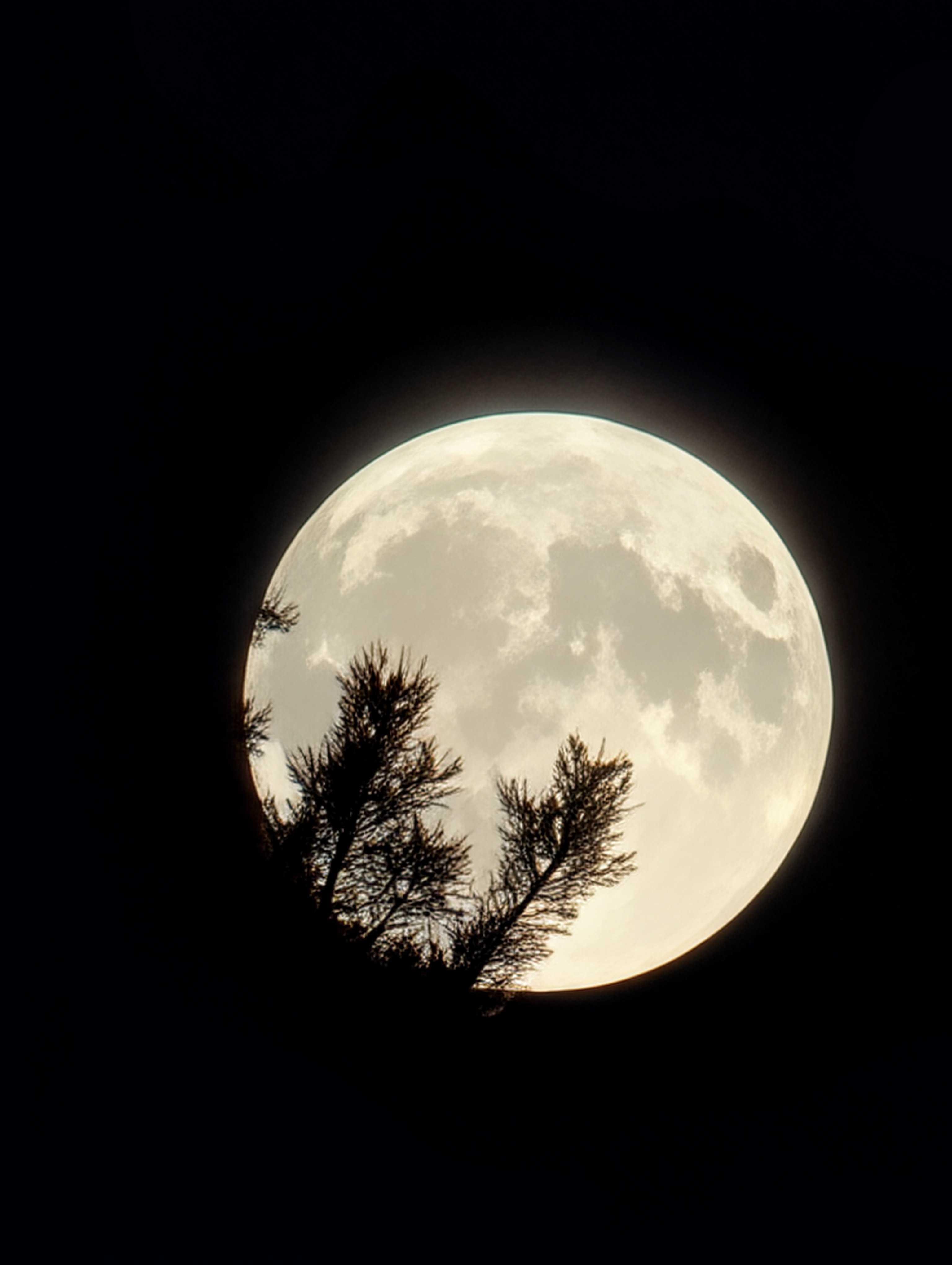 The Moon over Warszawa, Polska — full moon, Lunar Day 15