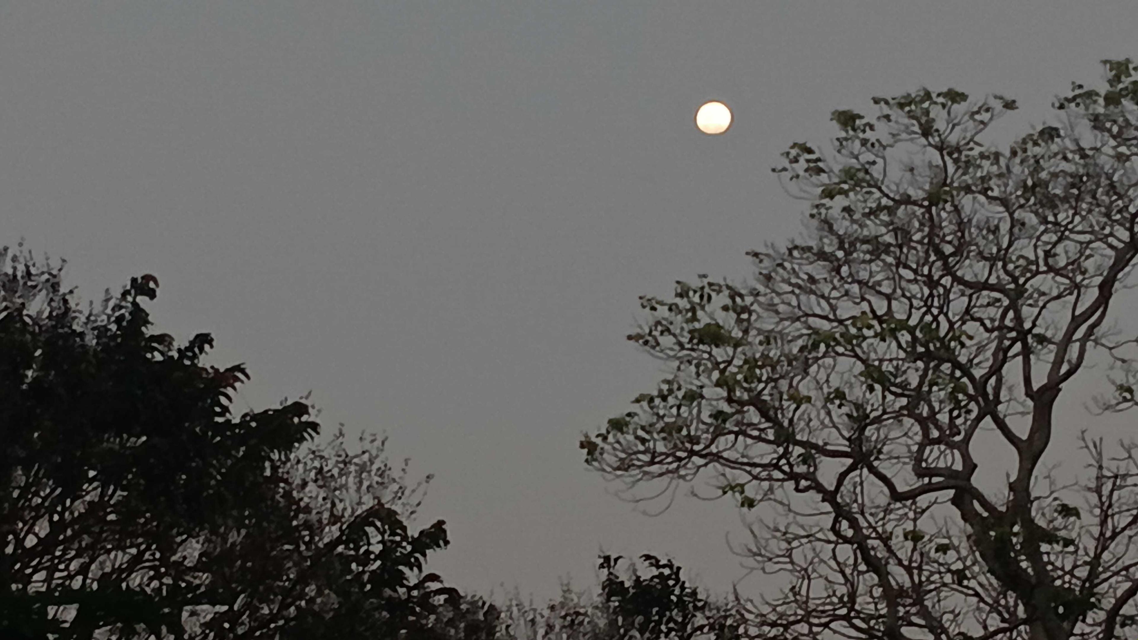 The Moon over Rampur RV, India — full moon, Lunar Day 13