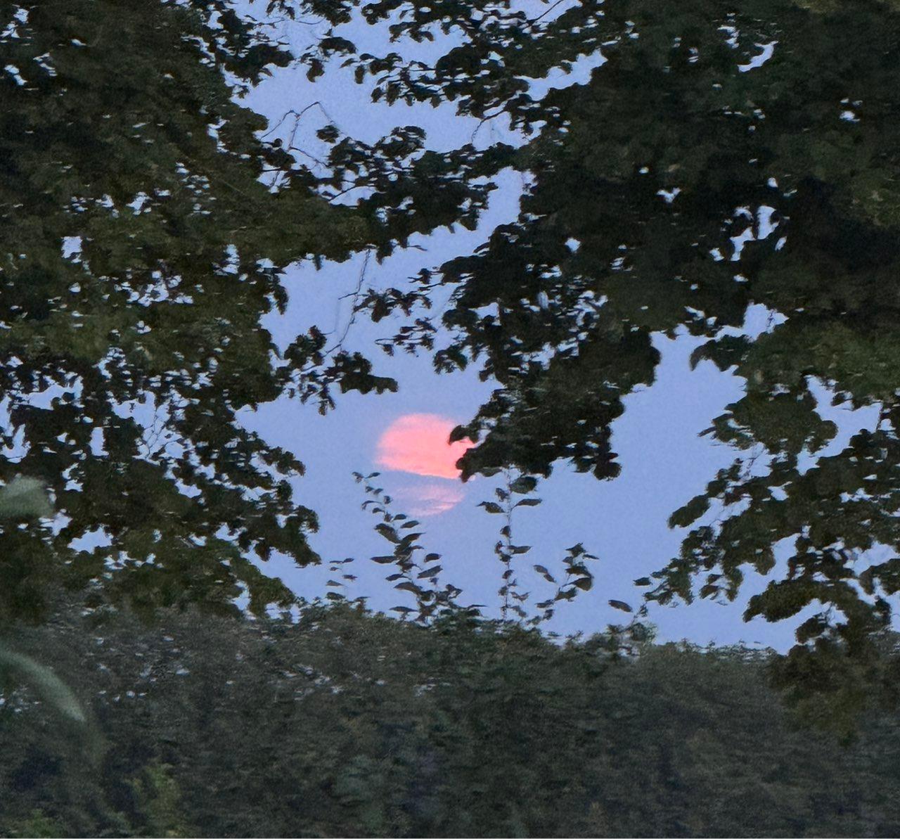 The Moon over Stedum, Netherlands — full moon, Lunar Day 15