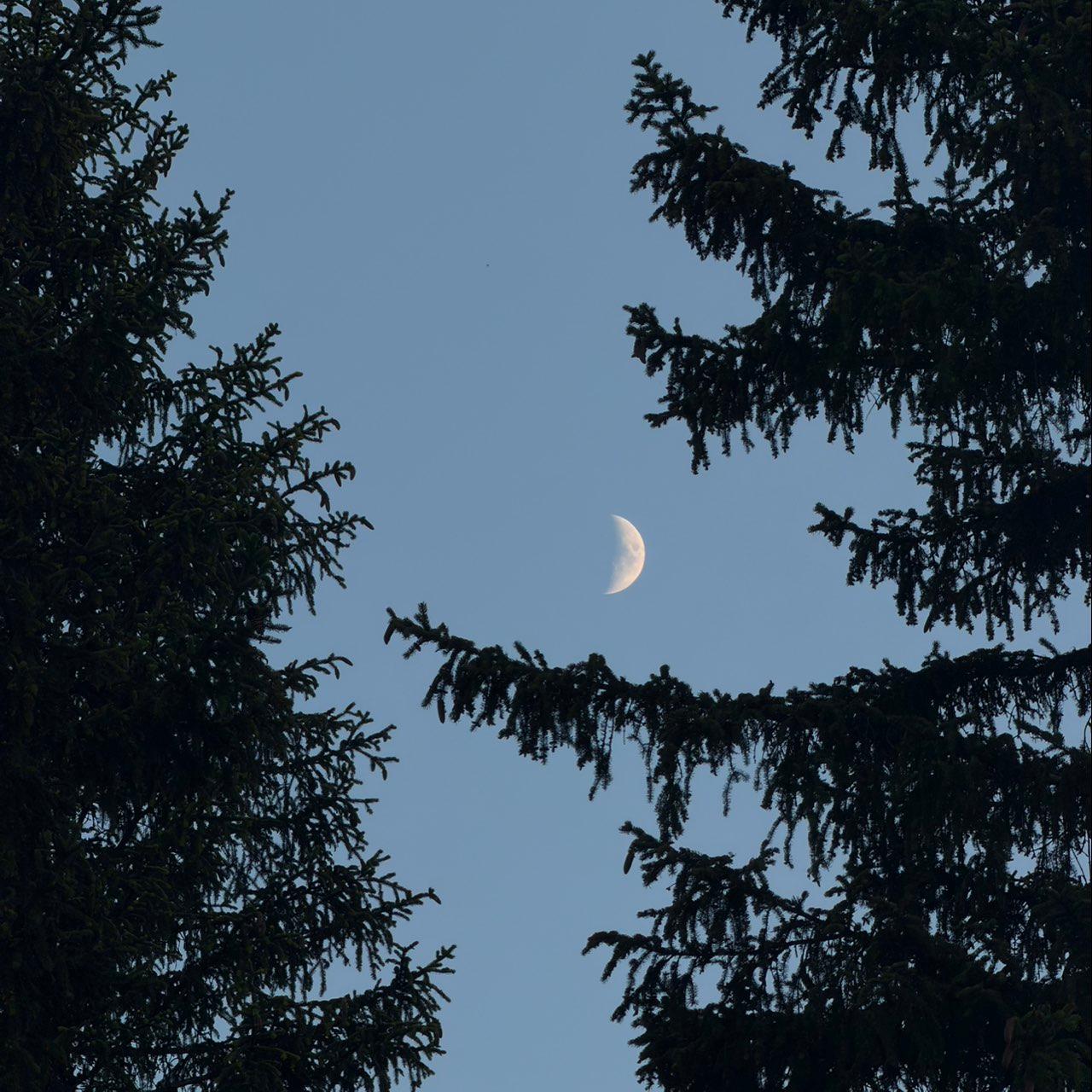 The Moon over Arosa, Schweiz — first quarter, Lunar Day 7