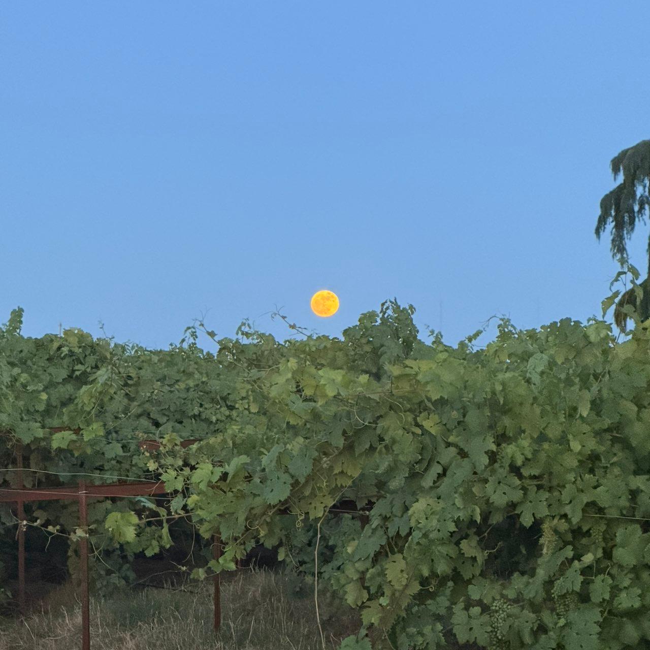 The Moon over Lodi, United States — full moon, Lunar Day 15