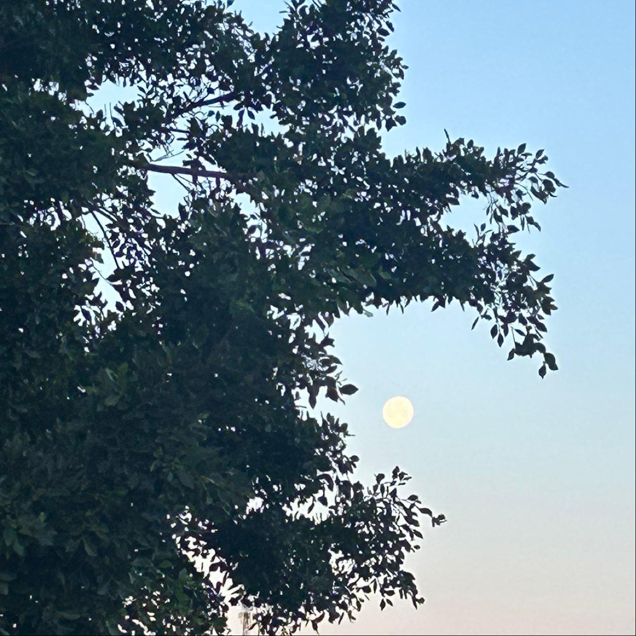 The Moon over Málaga, España — full moon, Lunar Day 16