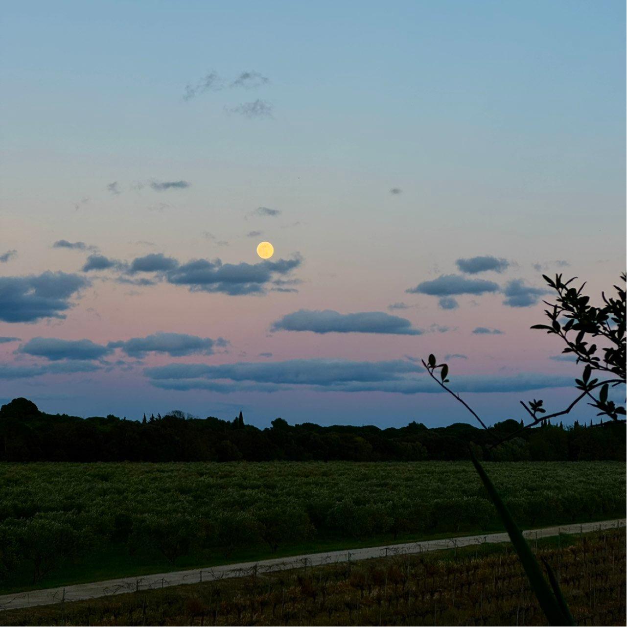 The Moon over Narbonne, France — full moon, Lunar Day 15