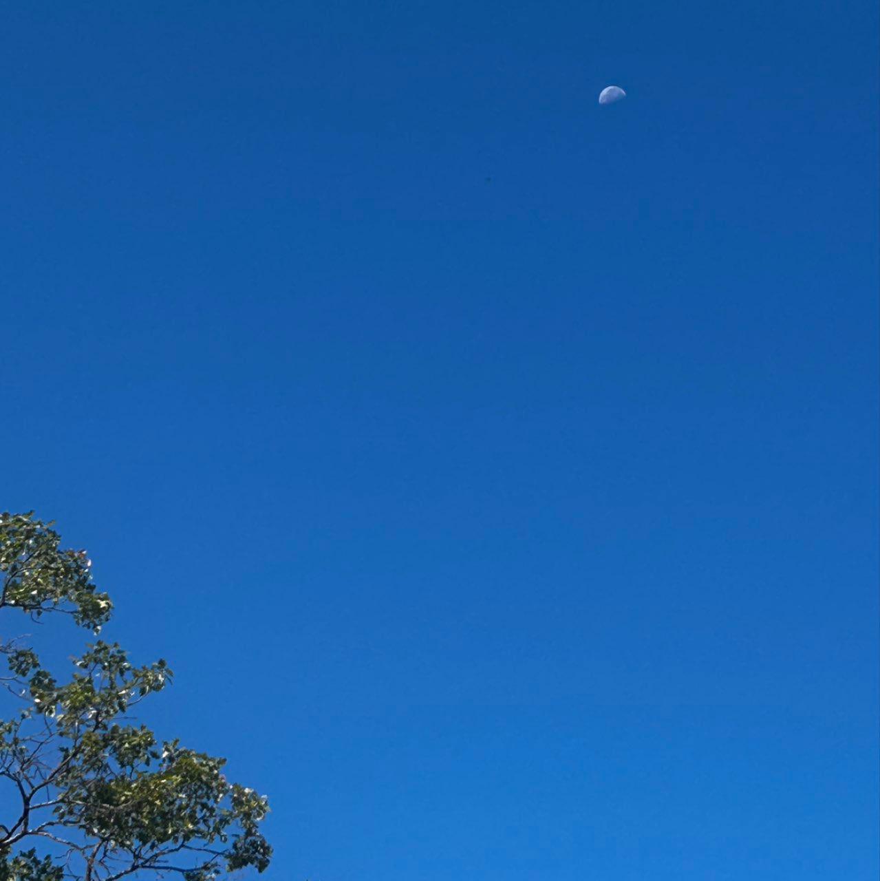 The Moon over Grass Valley, United States — last quarter, Lunar Day 23