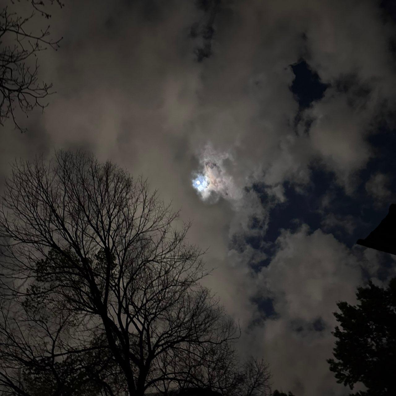 The Moon over Farmers Branch, Estados Unidos — full moon, Lunar Day 14