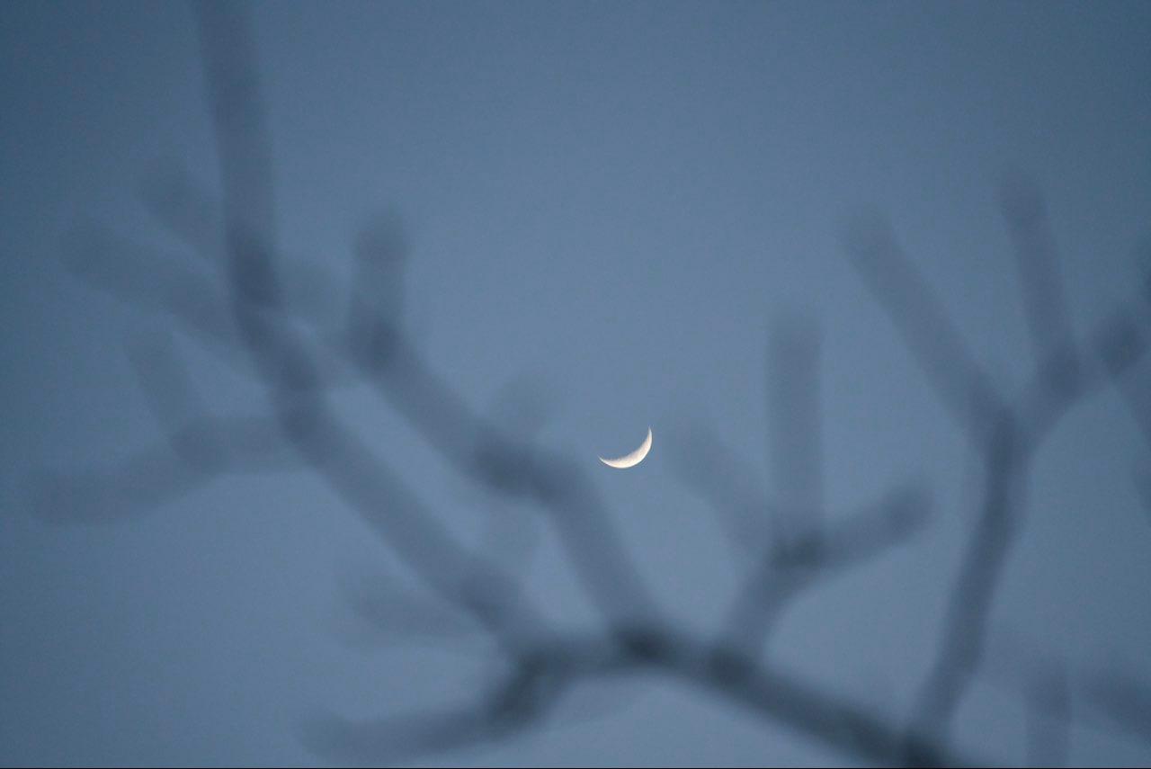 The Moon over Markham, Canada — waxing crescent, Lunar Day 5