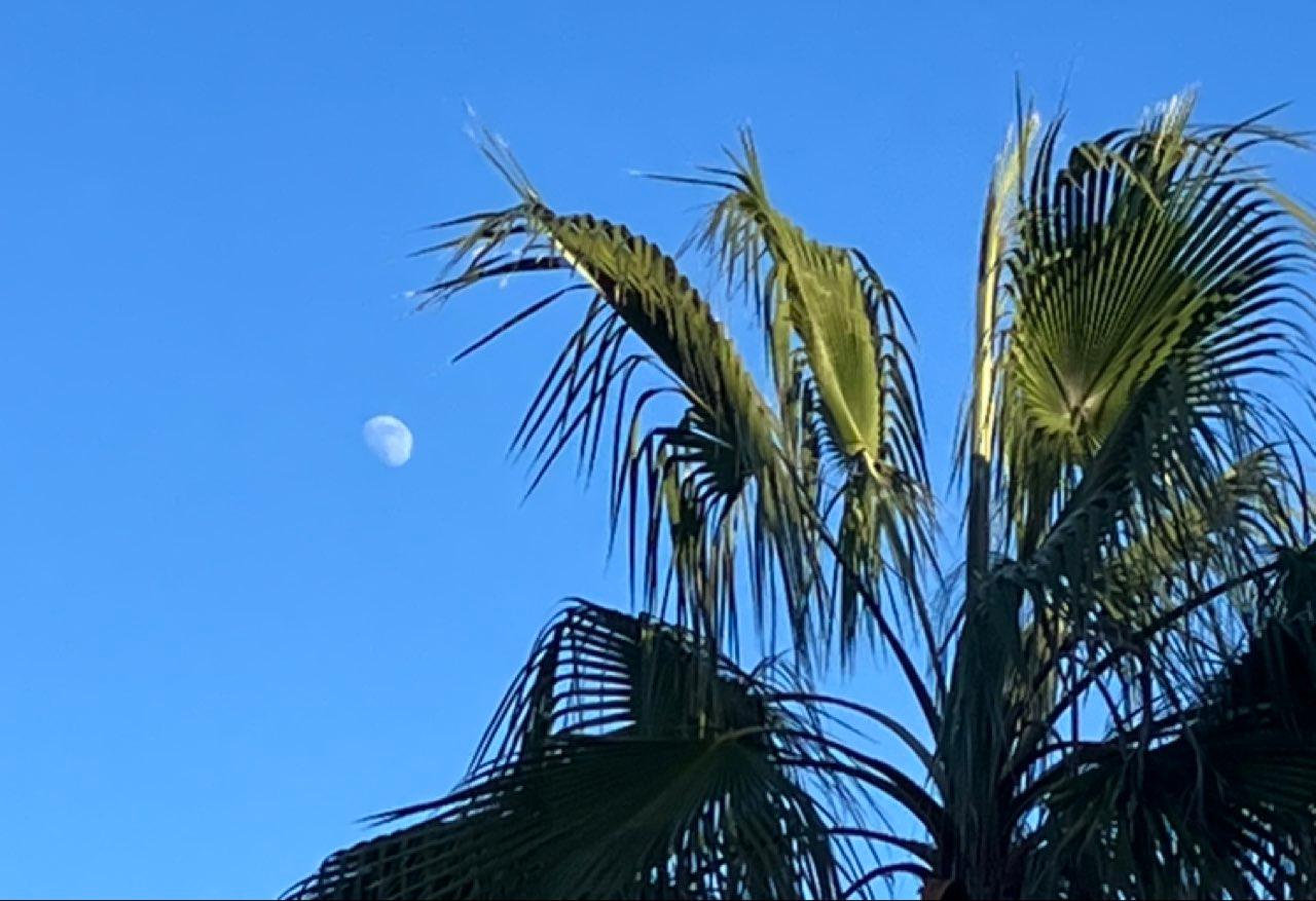The Moon over València, España — waxing gibbous, Lunar Day 12