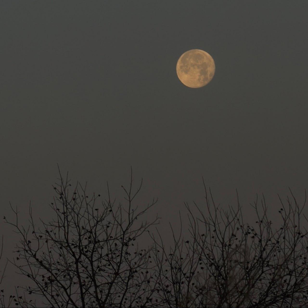 The Moon over Encarnación de Díaz, México — full moon, Lunar Day 17