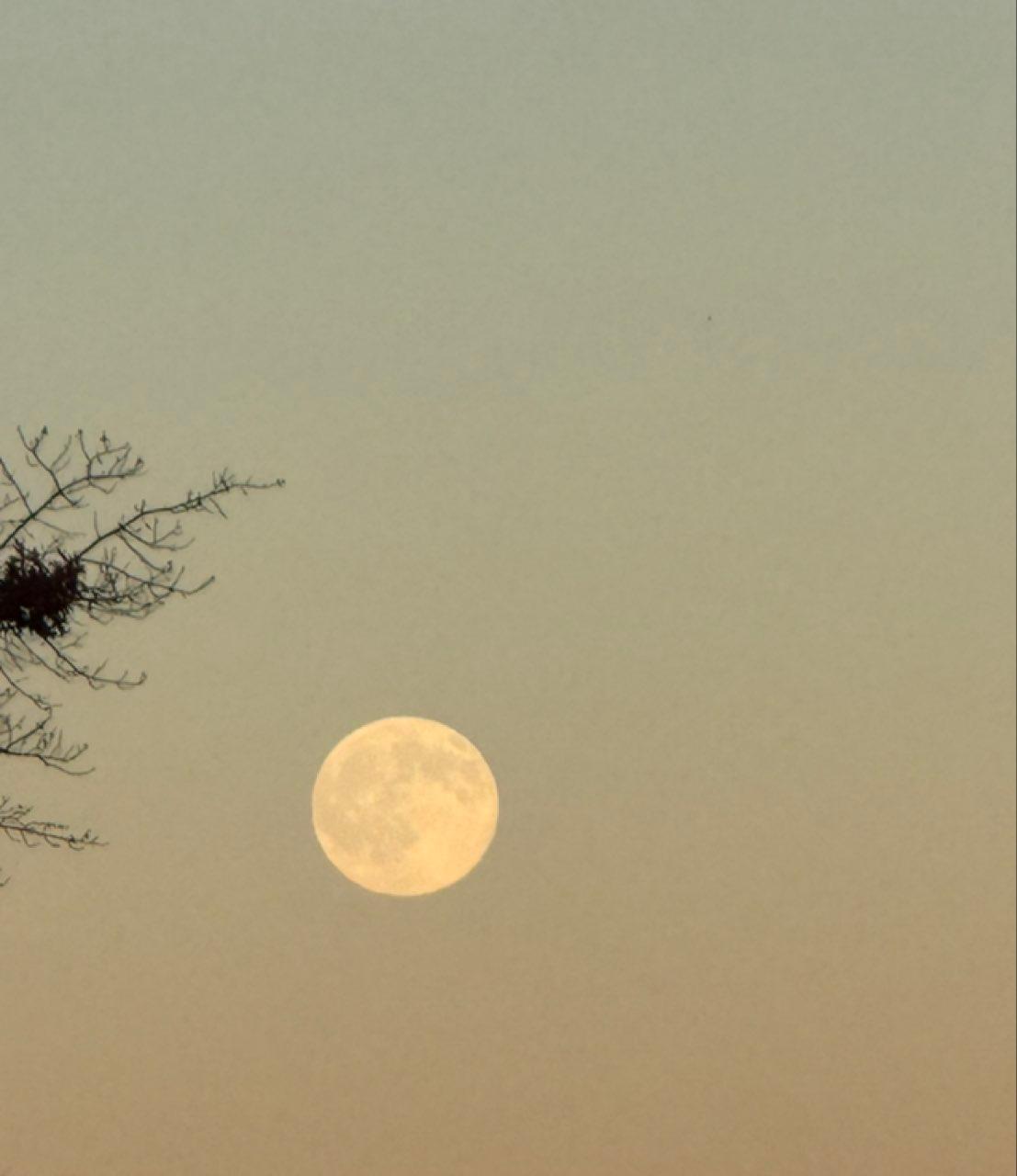 The Moon over Boston, United States — full moon, Lunar Day 16