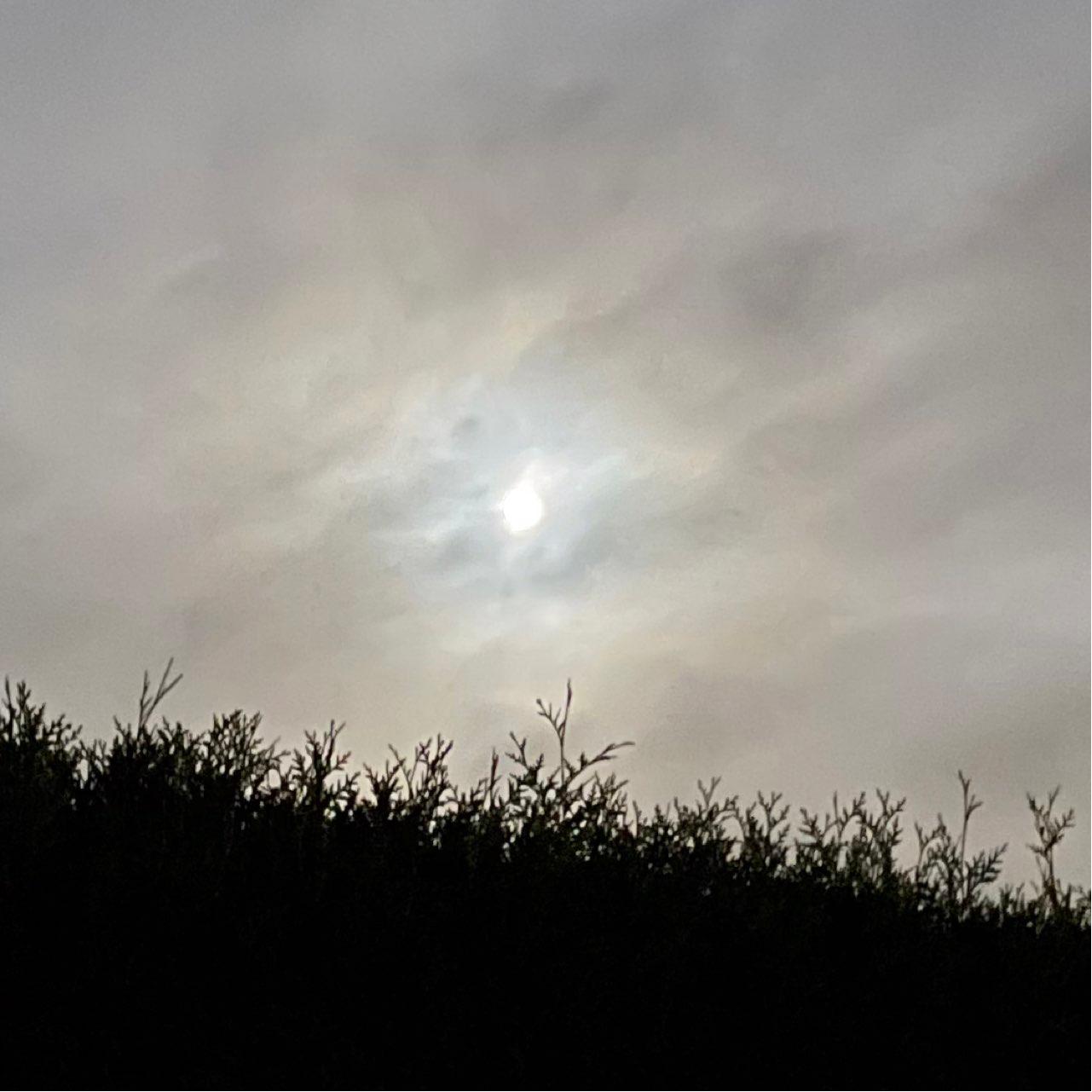 The Moon over Seevetal, Deutschland — full moon, Lunar Day 16