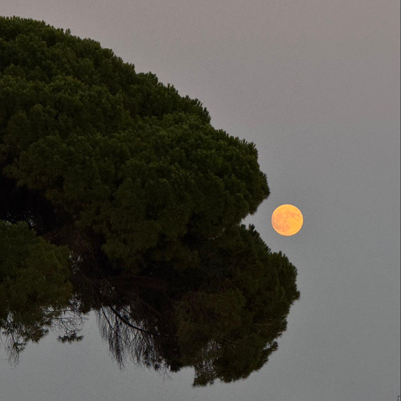 The Moon over Trepuzzi, Italia — full moon, Lunar Day 15