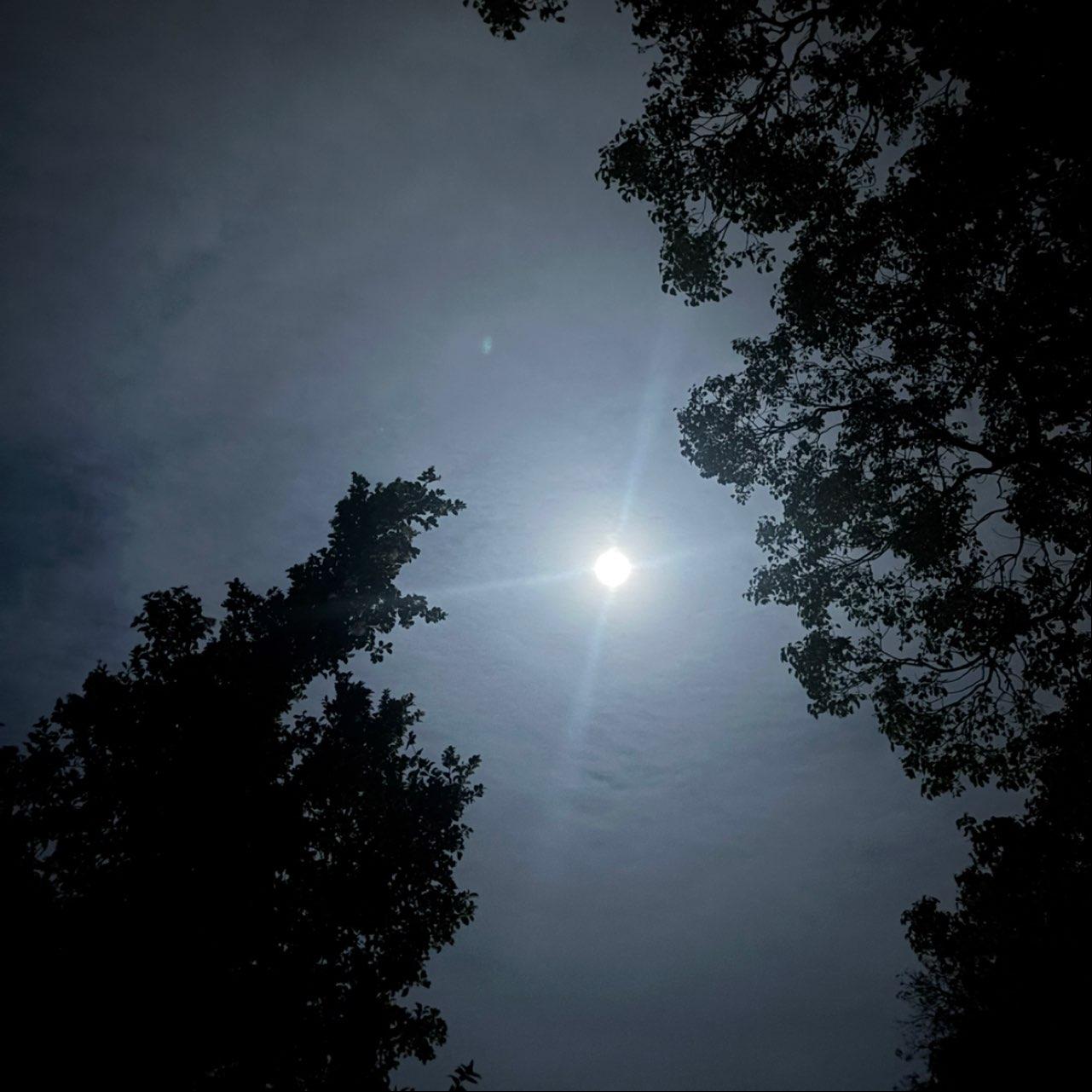 The Moon over Kew East, Australia — full moon, Lunar Day 15
