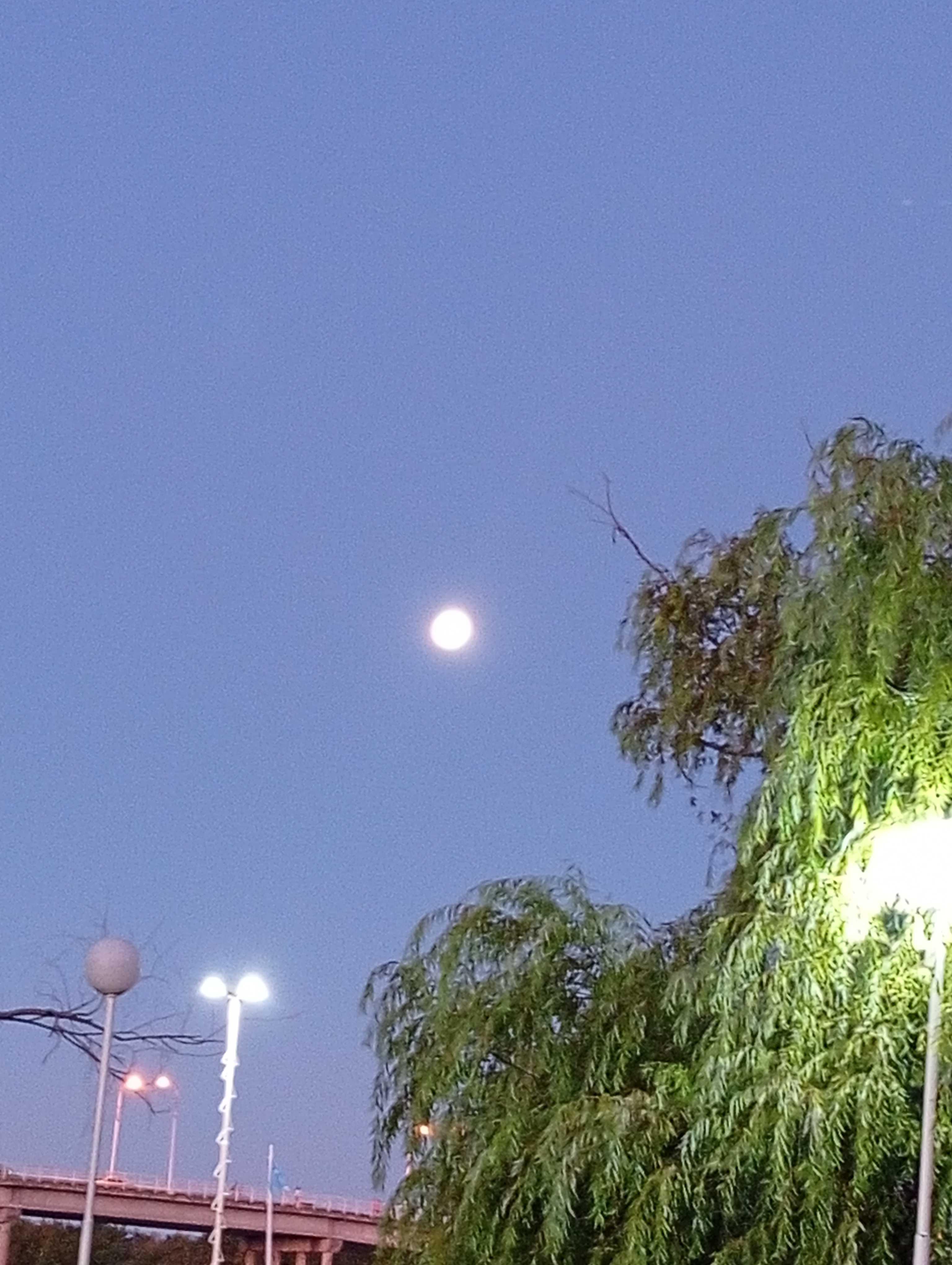 The Moon over Concepción del Uruguay, Argentina — full moon, Lunar Day 14