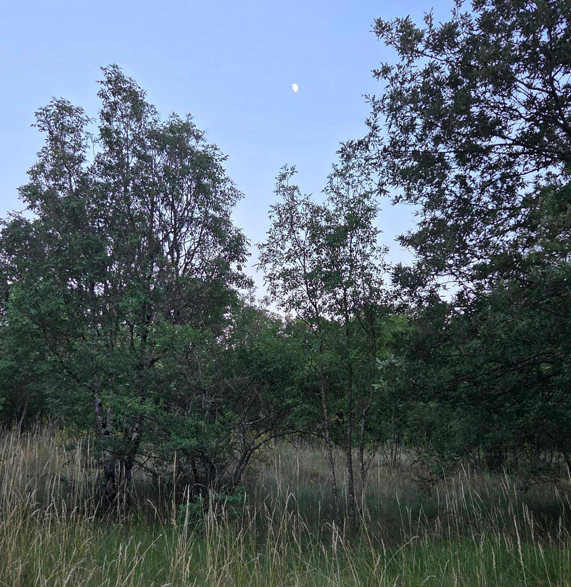 The Moon over Trieste, Italia — waxing gibbous, Lunar Day 11