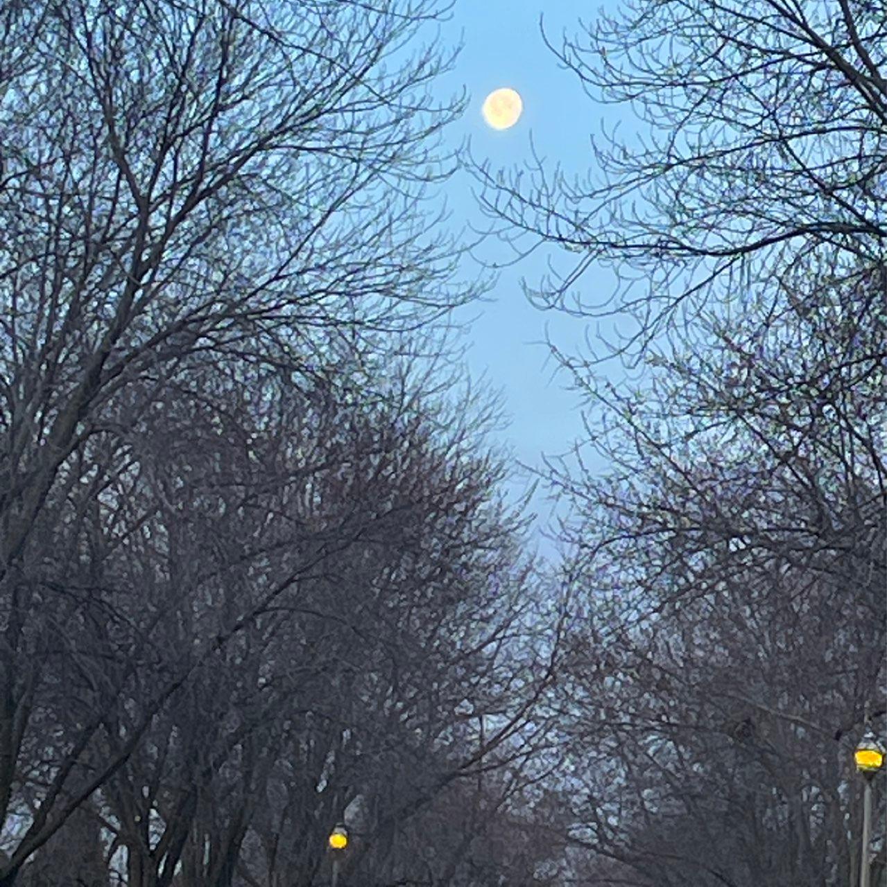 The Moon over Thunder Bay, Unorganized, Canada — waning gibbous, Lunar Day 18