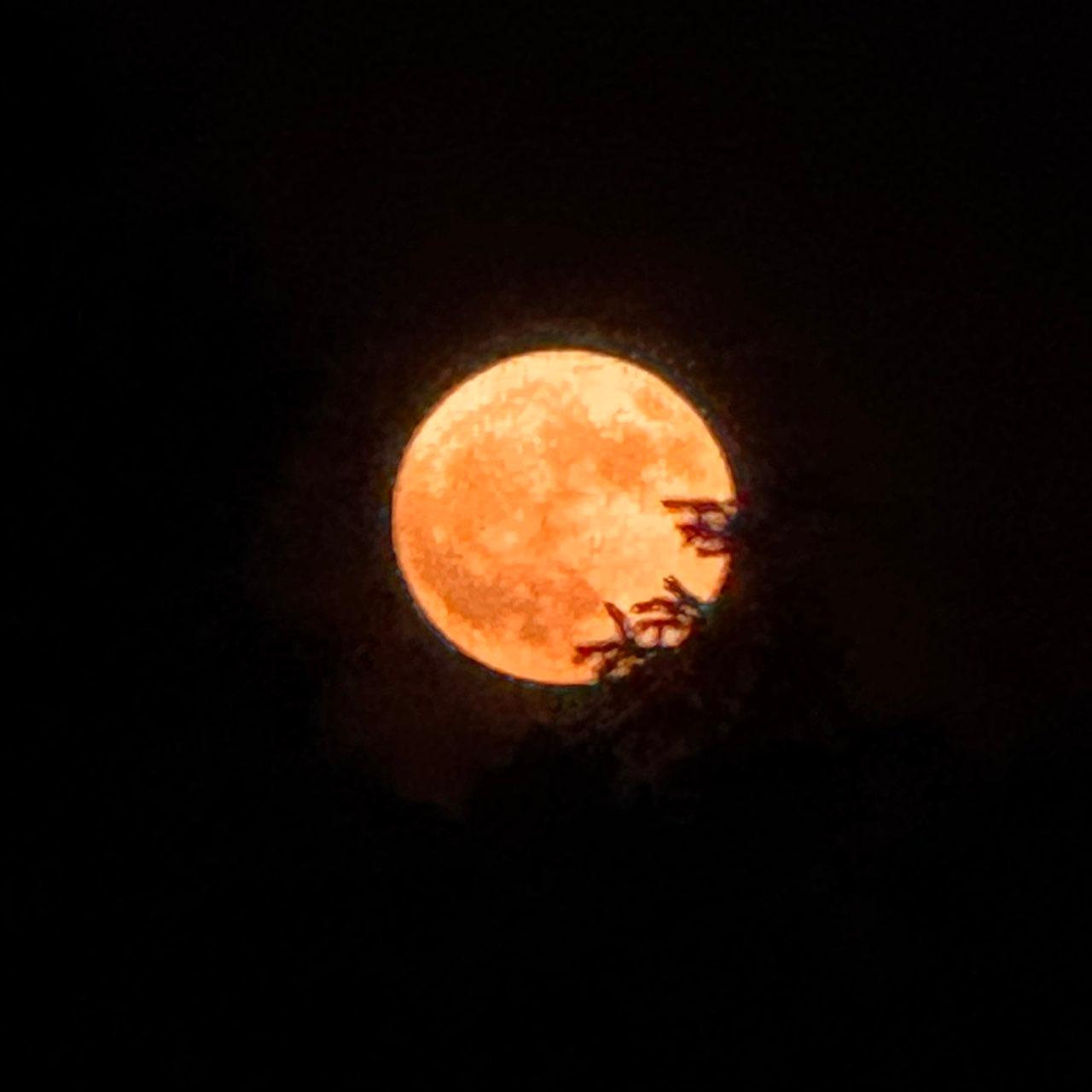 The Moon over Pottstown, United States — full moon, Lunar Day 16